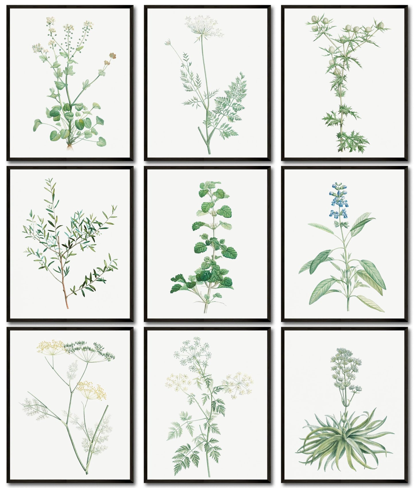 LANCHI95 botanical wall art - Minimalist Aesthetic Rose Collection, Bedroom Wall Art, Sage Green Eucalyptus Leaf Prints for Office (9pcs- 8x10in- UNFRAMED) (Botanical)