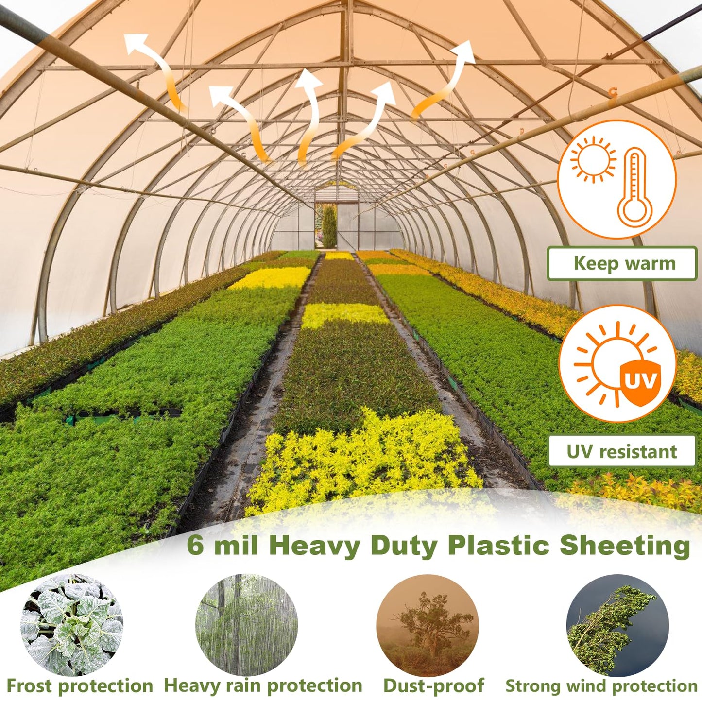 chicarry Greenhouse Plastic Sheeting, 12 x 25ft 6 mil Clear Greenhouse Film, UV Resistant Plastic Sheeting Heavy Duty, Polyethylene Green House Plastic Cover for Farms, Garden, Agriculture