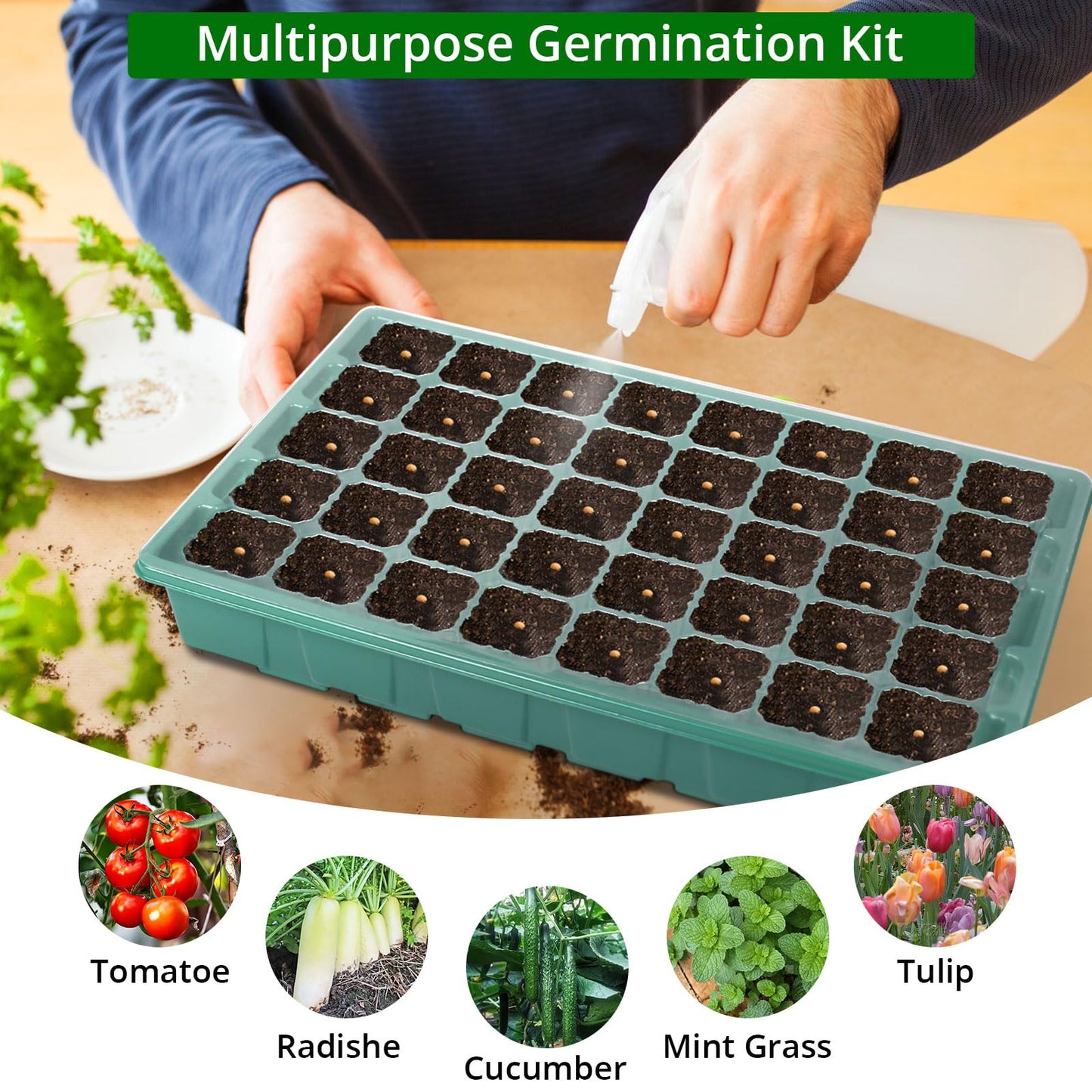 Sondiko Seed Starter Tray with Grow Light, Intelligent Display Digital Controller, 80 Cells Seed Starter Kit with Humidity Dome, Adjustable Brightness Indoor Plants Germination Kit(2 Pack)