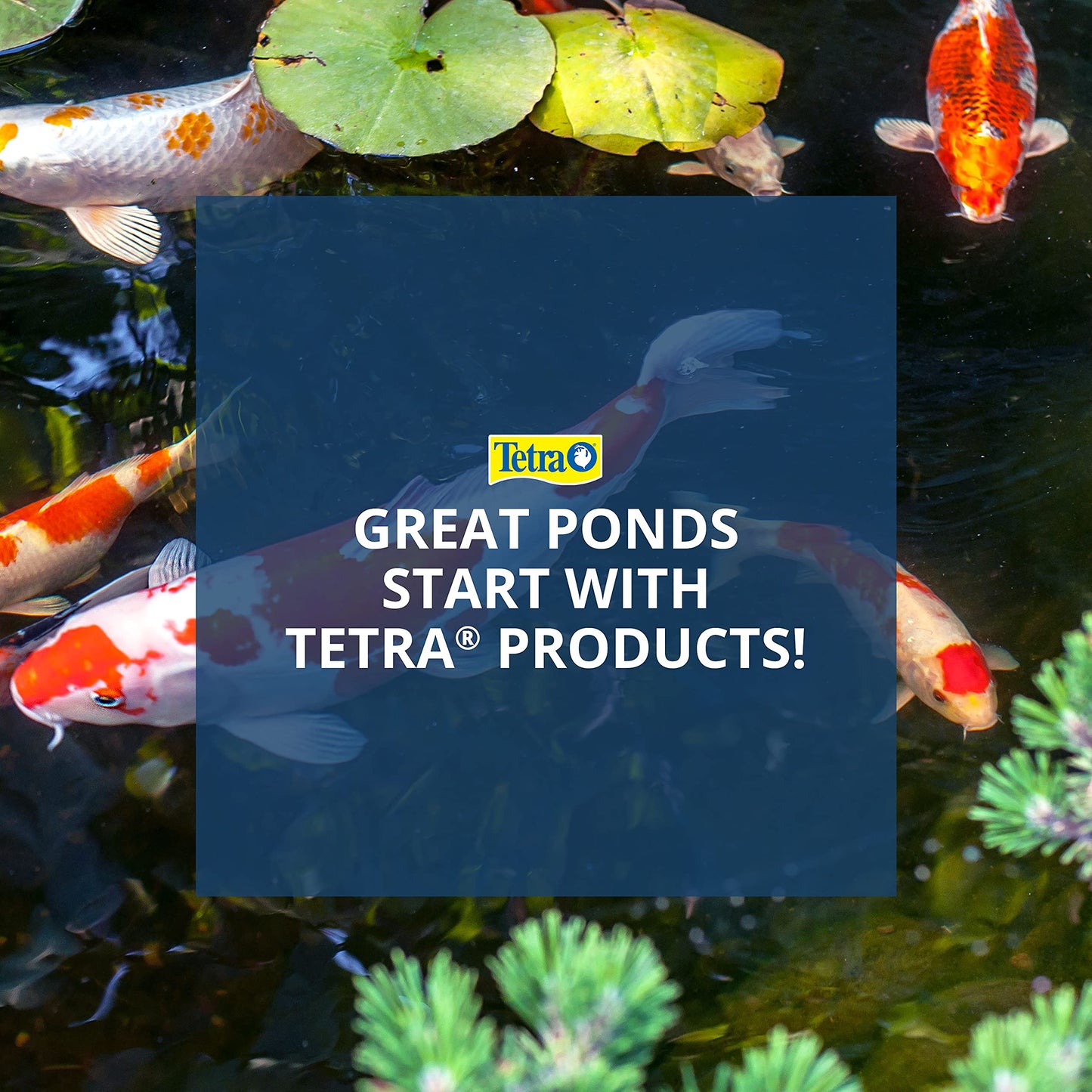 Tetra 14941 pond Waterfall Pump for Ponds, Debris 3150 Gph Handling Pump High Capacity,Ponds Up to 1500 Gallons