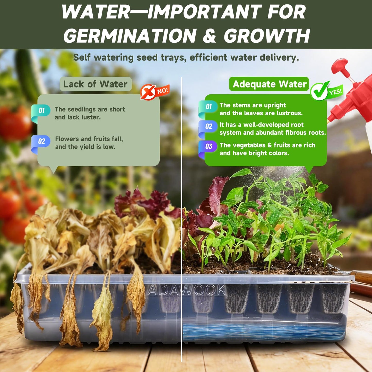 Adawook Self-Watering Seed Starter Tray, Seed Starter Kit Self Water, Germination Trays for Seed Starting with High Humidity Domes (Tray, 120 Cells)