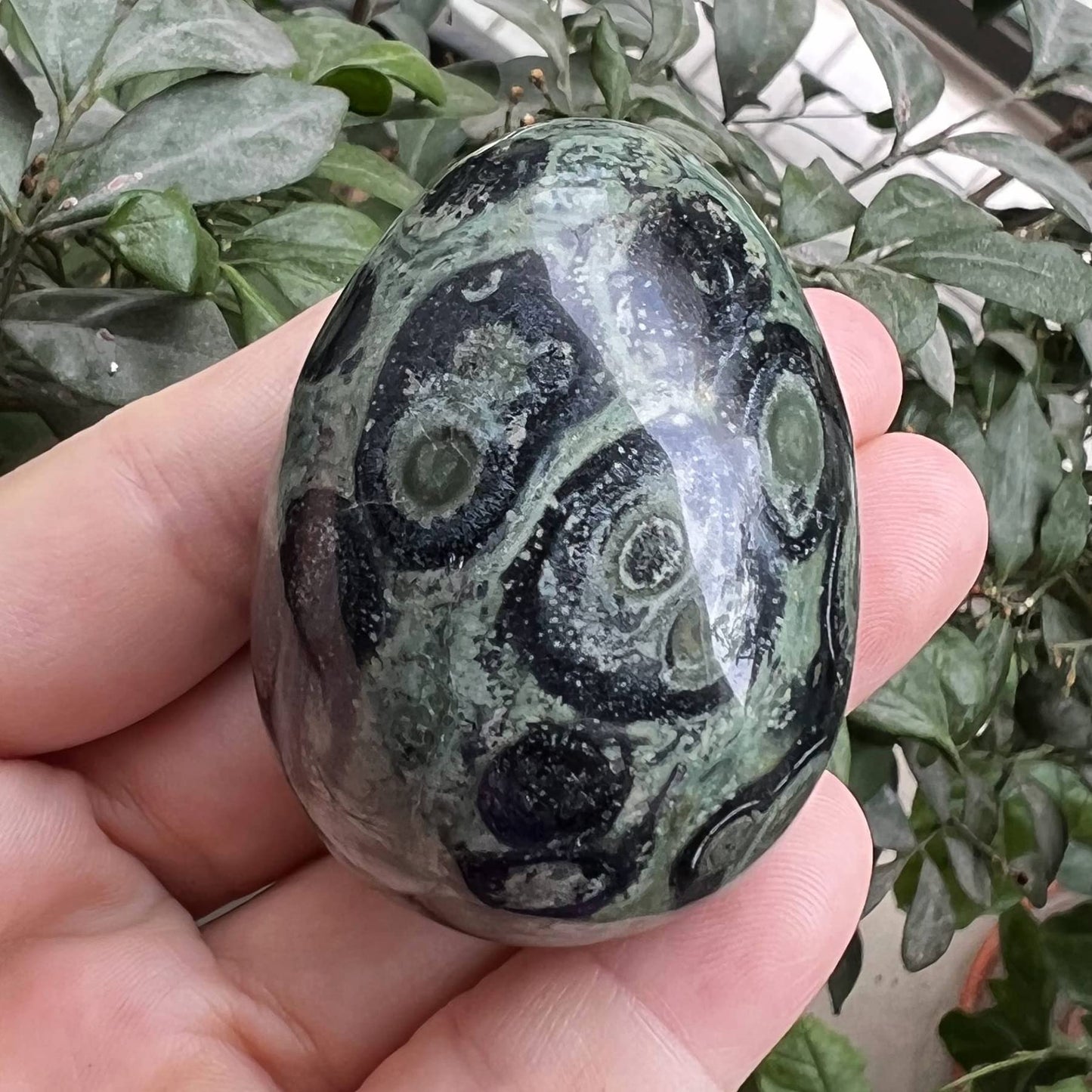 Fekuar Stone Egg Figurine, Polished Healing Crystal Easter Eggs Sphere Sculpture with Wood Stand, Natural Green Kambaba Jasper, 1.8"