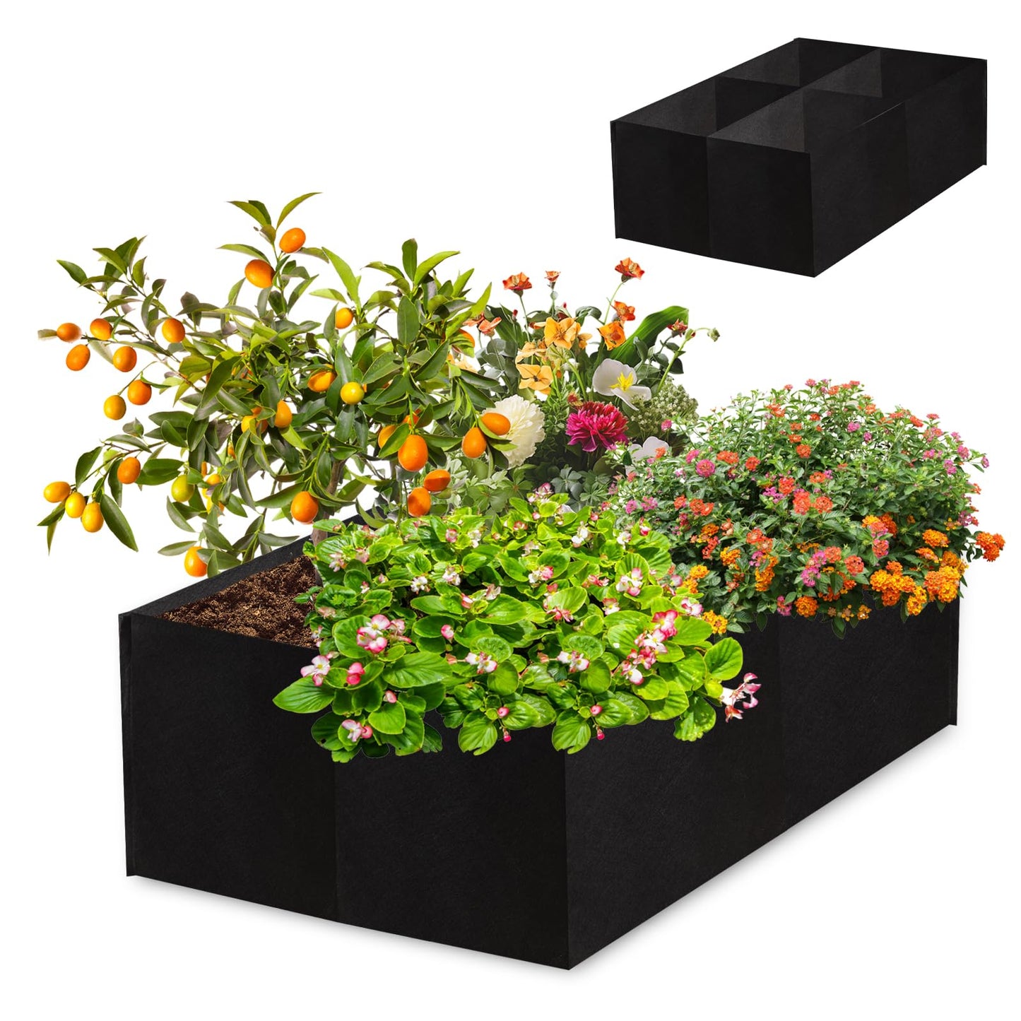 Encooldesty 2 Pack 2x2x1Ft 30 Gallons Fabric Raised Garden Bed,Garden Grow Bed,Raised Beds for Gardening,Raised Garden Beds Outdoor for Potato,Tomato,Vegetable and Fruits