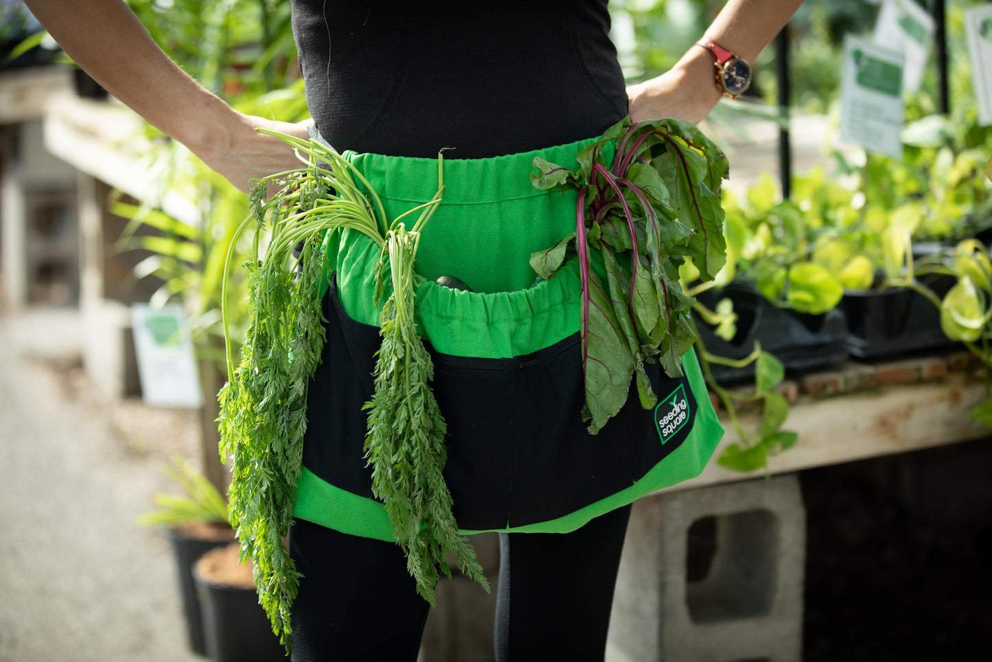 Seeding Square Harvest Garden Apron – pick fruits, vegetables, eggs and weeds & store small tools, seeds and personal items (Black Pockets on Green)