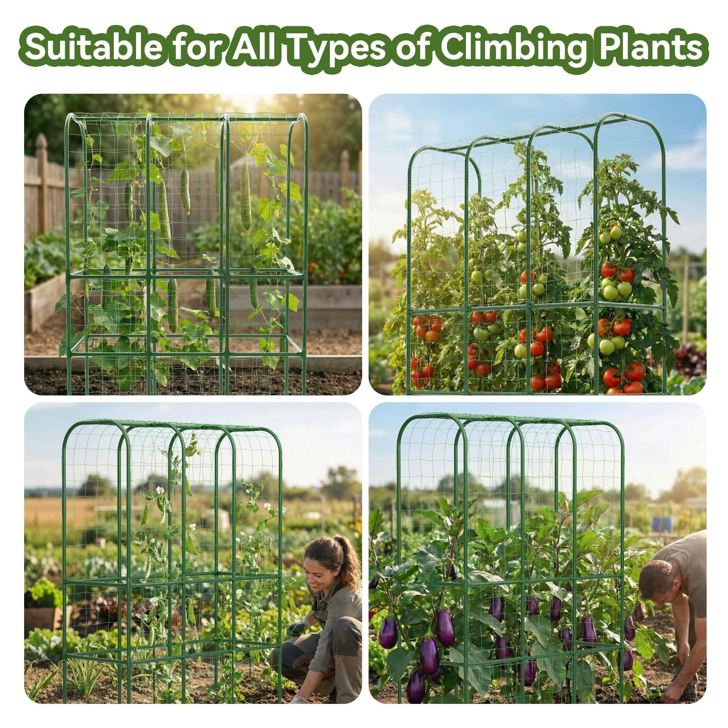 62" Tall Cucumber Trellis for Raised Bed, Garden Trellis for Climbing Plants Outdoor, U-Shape Metal Arch Vegetables Trellis Plant Support for Zucchini Squash Vines