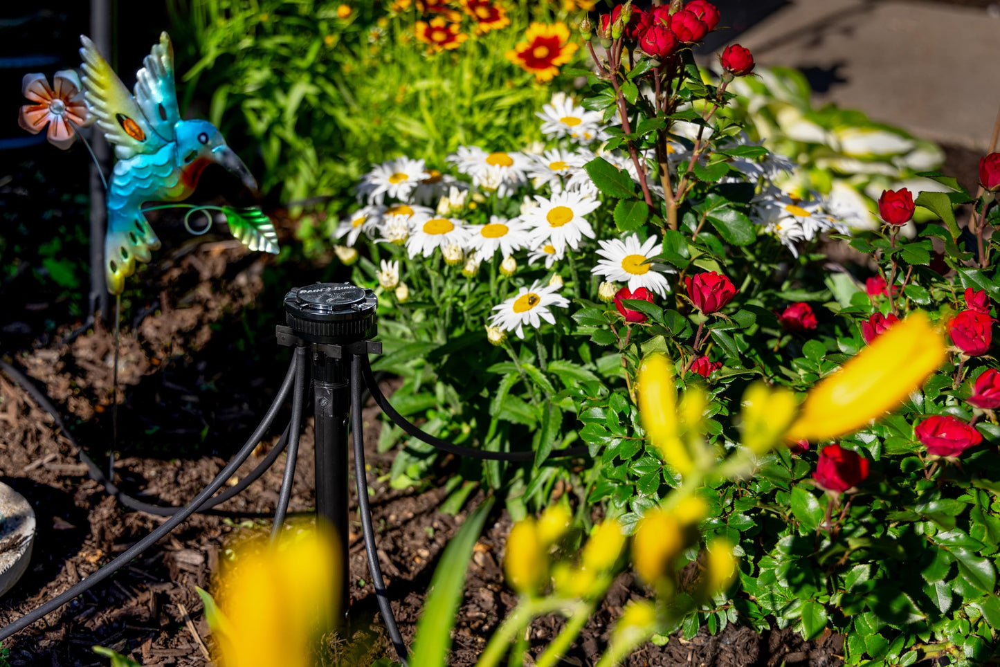 Rain Bird MANIFPRPS2 Drip Irrigation 9-Port Manifold, 25 PSI Pressure Regulating, Adjustable Flow and ON/Off