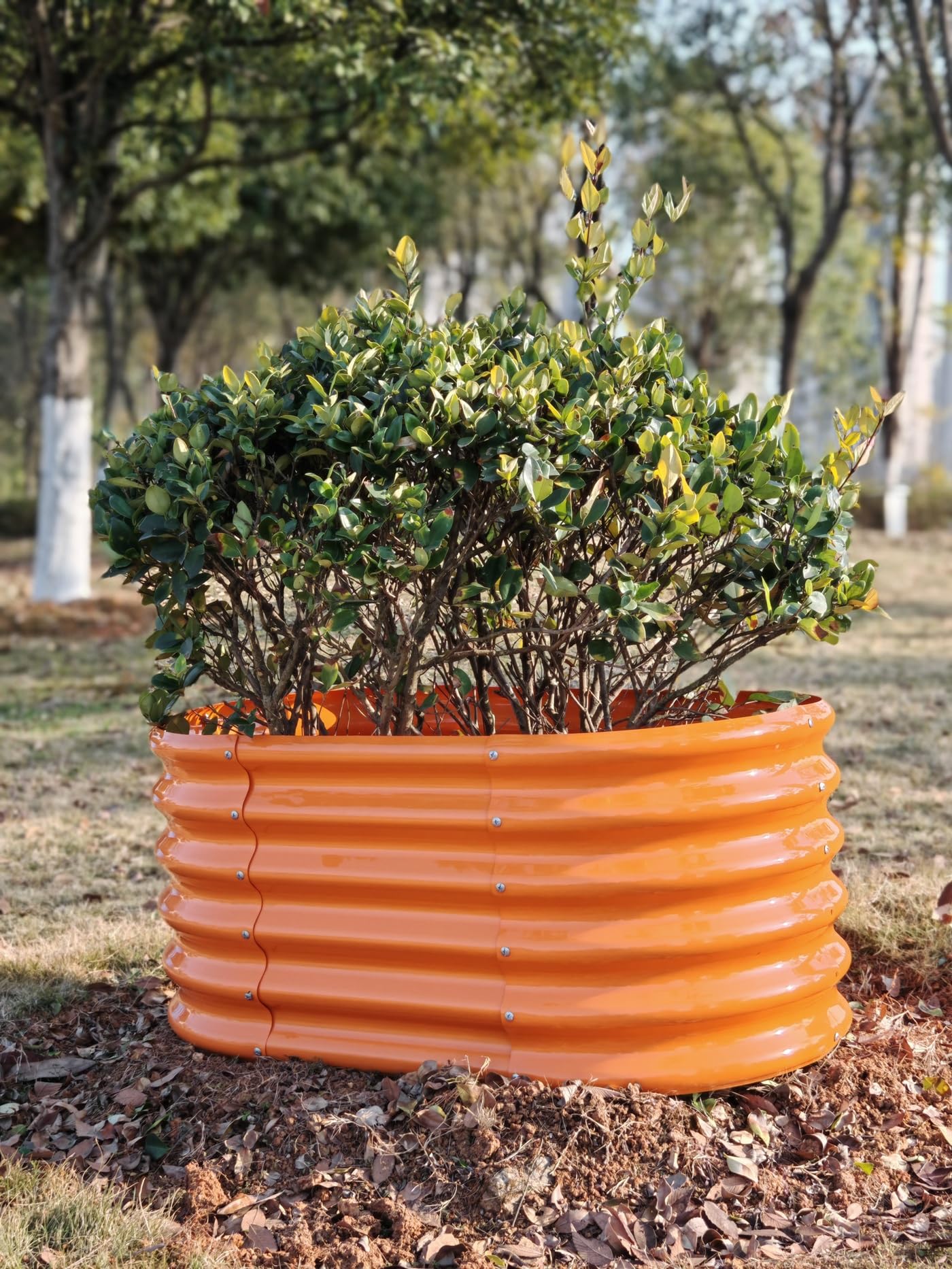 A ANLEOLIFE Kids Mini Raised Garden Beds Outdoor (3-Pack)-40x24x18in Oval Round Galvanized Metal Planter Box for Planting Vegetables, Flowers, Fruits, Eco-Safe & Easy Setup, Peach Orange