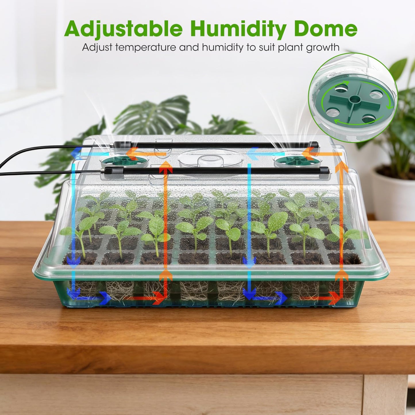 Seed Starter Tray with Grow Light, 2 Pack 80-Cell Seedling Starter Kit with Smart Timer & Humidity Dome, Indoor Plant Germination Kit with 100pcs Nursery Bags & 2-in-1 Sprinkler for Seed Starting