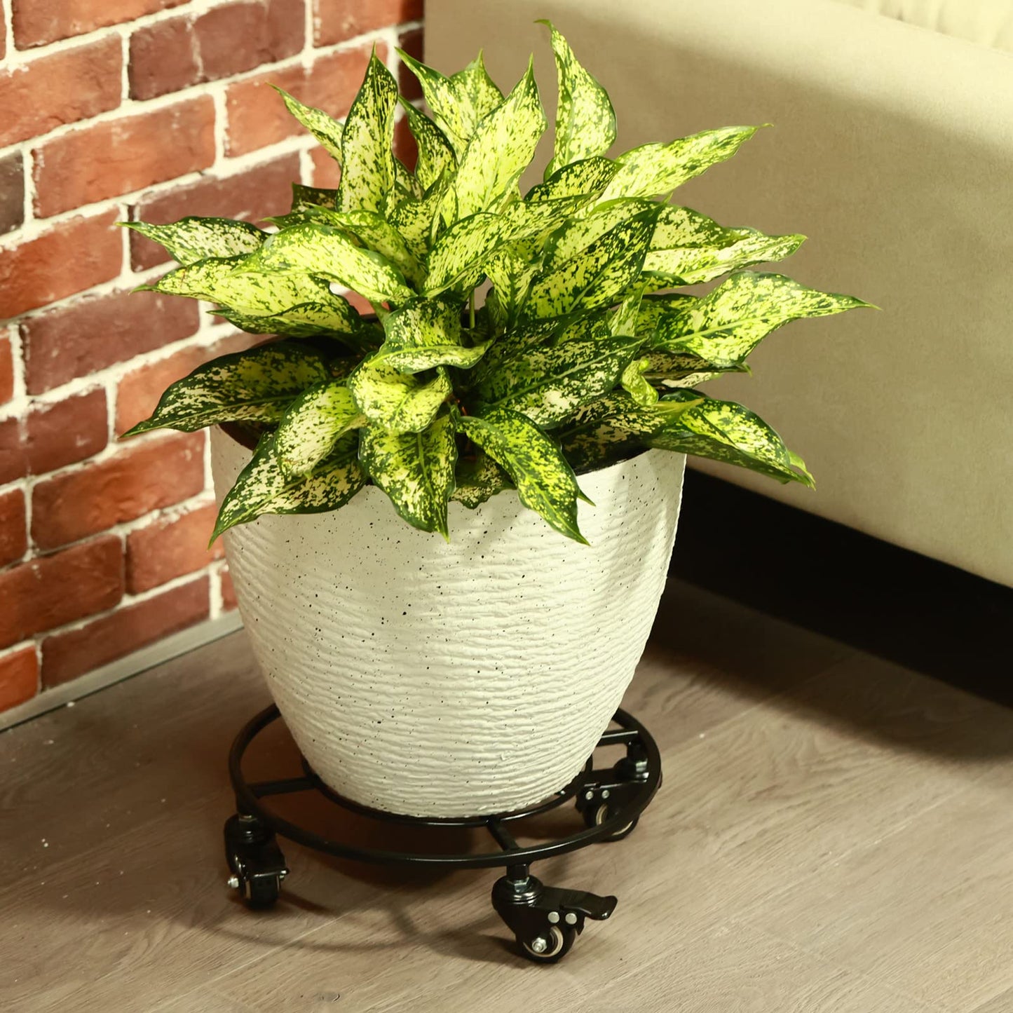 KvyusFlourish 3 Packs Large Metal Plant Caddy with Wheels 13.6" Rolling Plant Stands Heavy-Duty Wrought Iron Plant Dolly Plant Rollers Planter Mover with Casters