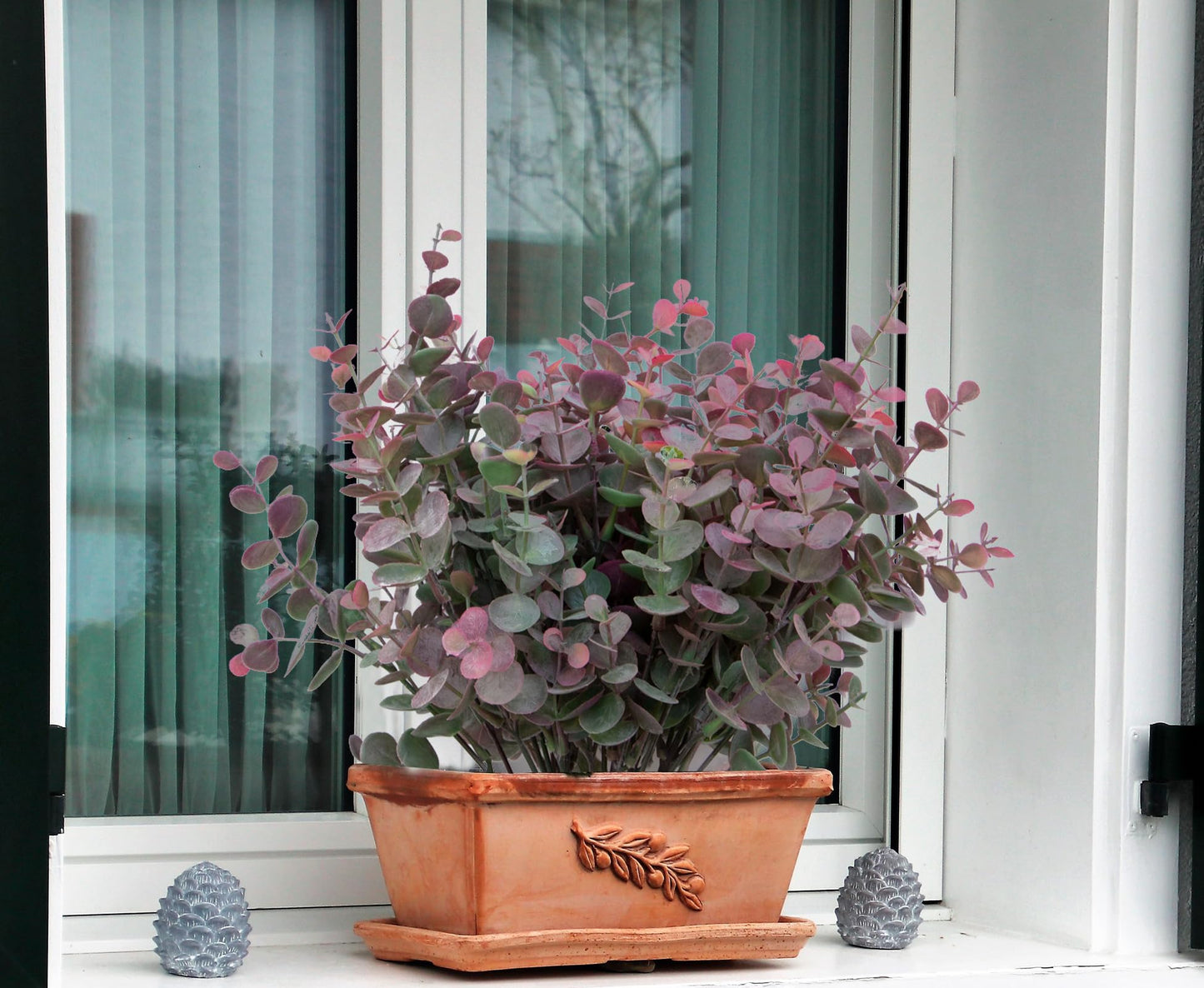 YOOHOTOUCH 5 Bundles Artificial Eucalyptus Stems，Faux Greenery Fake Dust Frosted Eucalyptus Branches Leaves，Fake Plants for Decoration（Dusty Mauve）