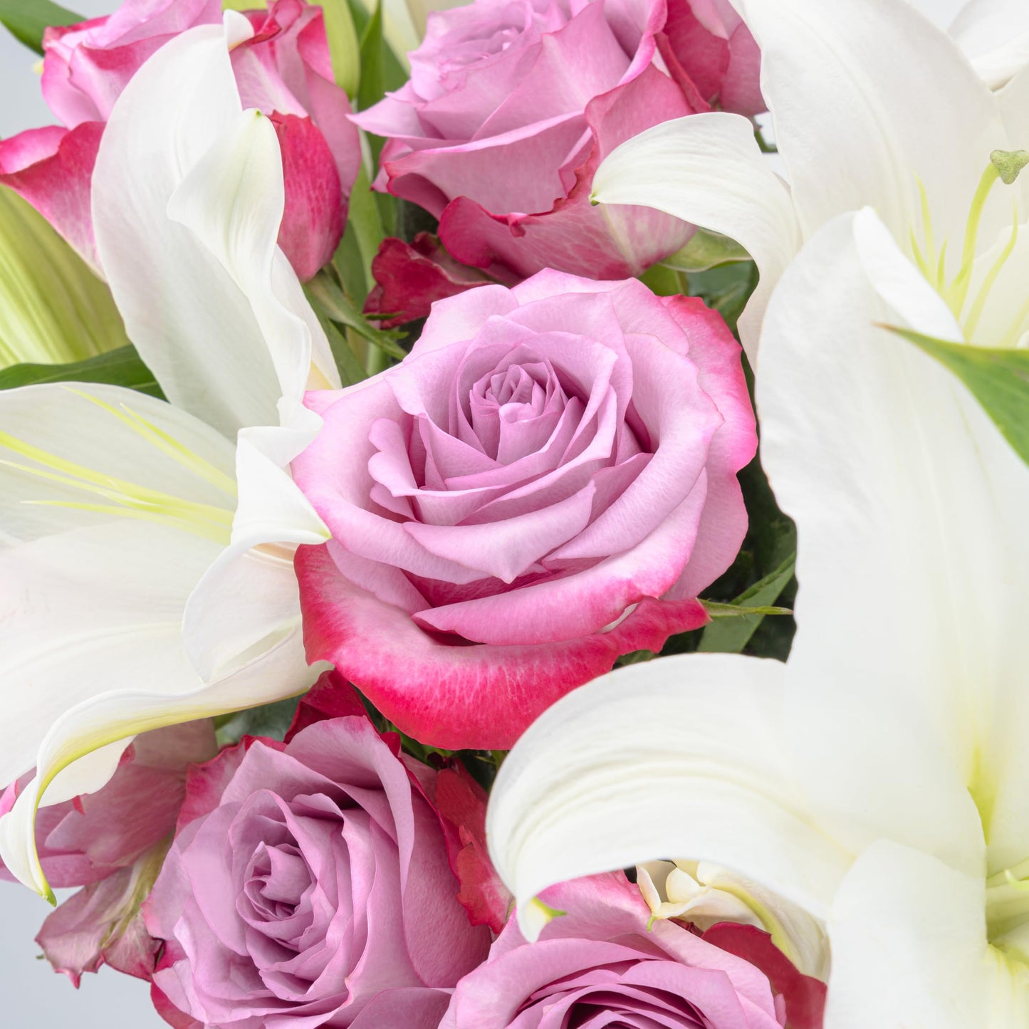 Benchmark Bouquets - Oriental Lilies & Purple Roses - Fresh Flowers for Delivery - Mothers Day Flowers - Mothers Day Gifts for Mom - Gifts for Wife - Long Stem Roses (Glass Vase Included)