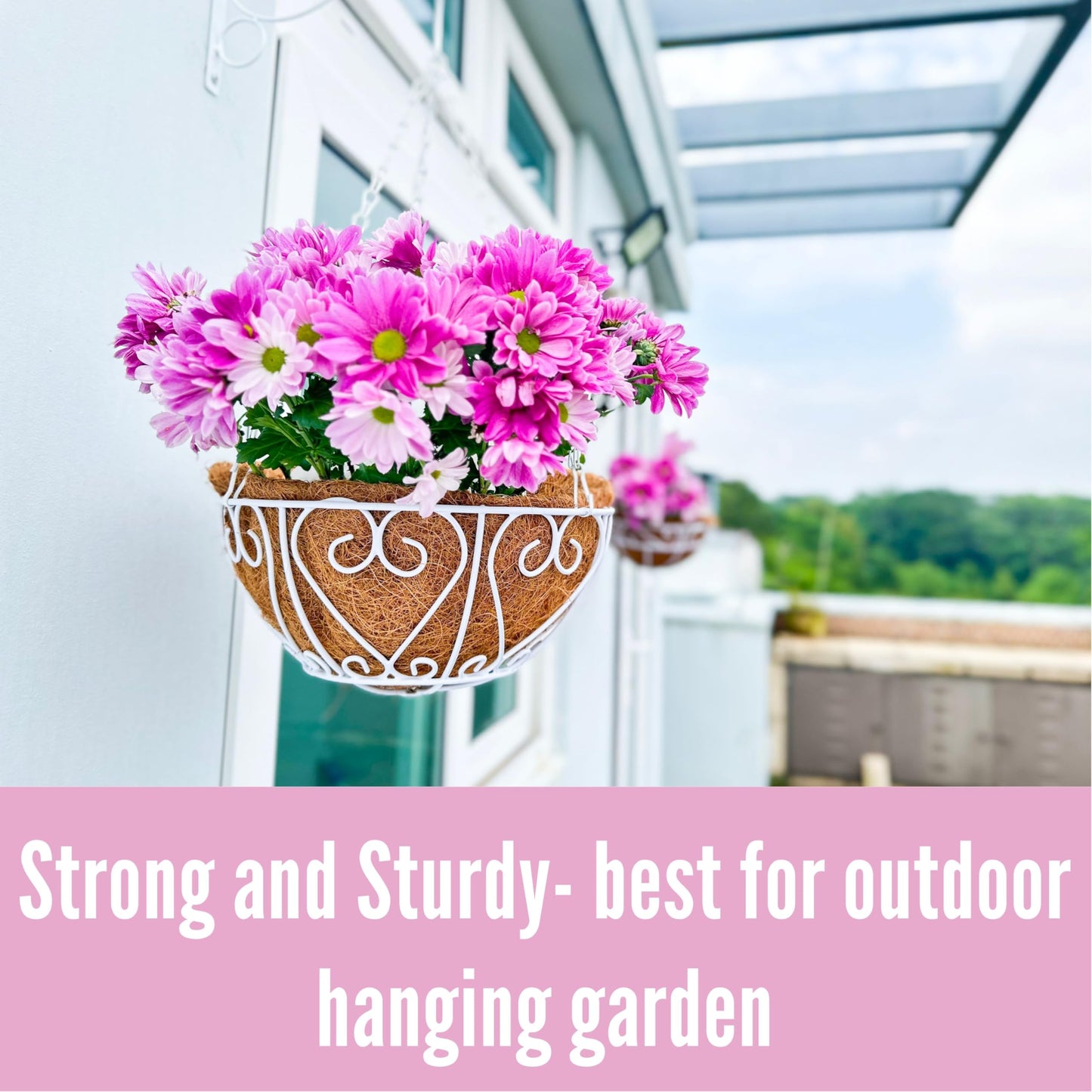 LaLaGreen Hanging Baskets for Plants (4 Pack, 14 Inch) Hanging Flower Pots with Coco Liner, White Metal Wire Round Basket Plant Holder with Hanger Hook Chain Outdoor Deck Patio Balcony Garden Decor