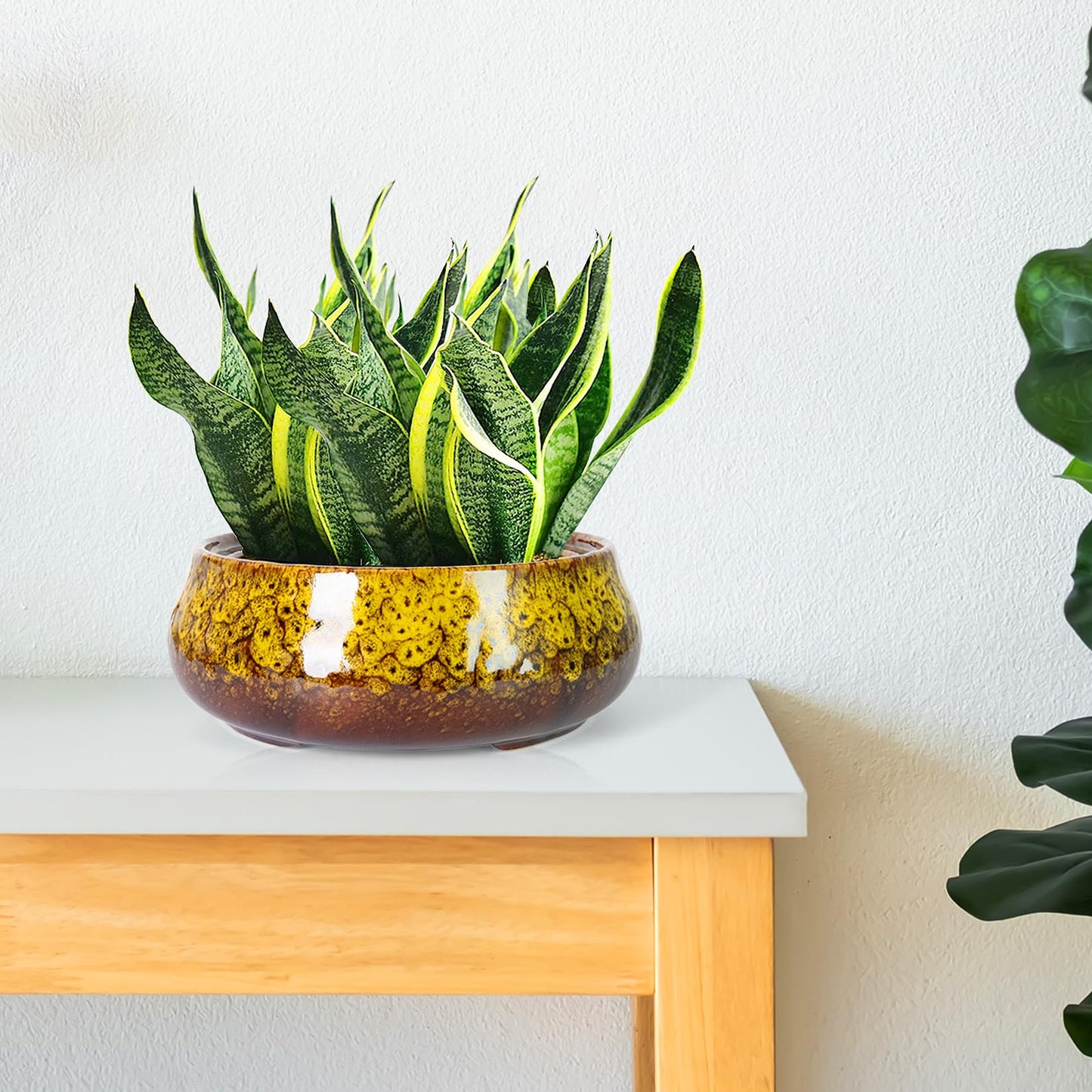 ARTKETTY Succulent Pots - 8 Inch Plant Pot, Large Bonsai Pots with Drainage, Ceramic Planters for Indoor Outdoor Plants, Round Shallow Cactus Flower Plant Container Bowl Decorative Home Garden