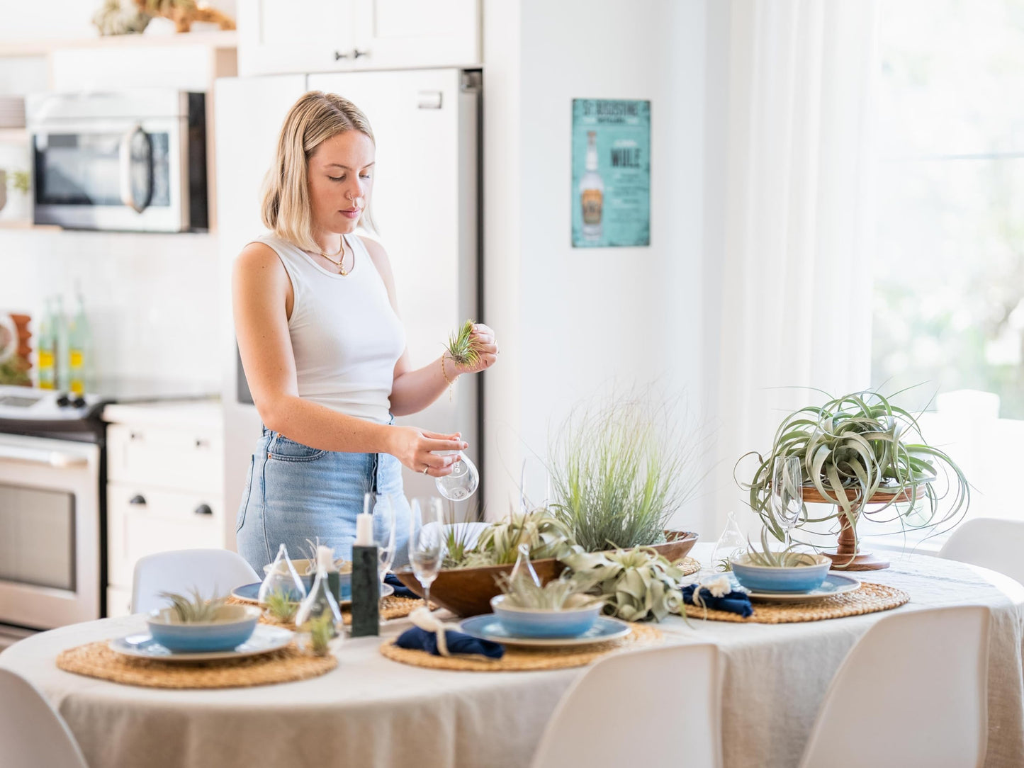 Air Plant Shop Fully Assembled Air Plant Cork Bark Displays - Wholesale and Bulk - Succulents - Live Tillandsia - Easy Care Indoor and Outdoor House Plants (Extra Large)