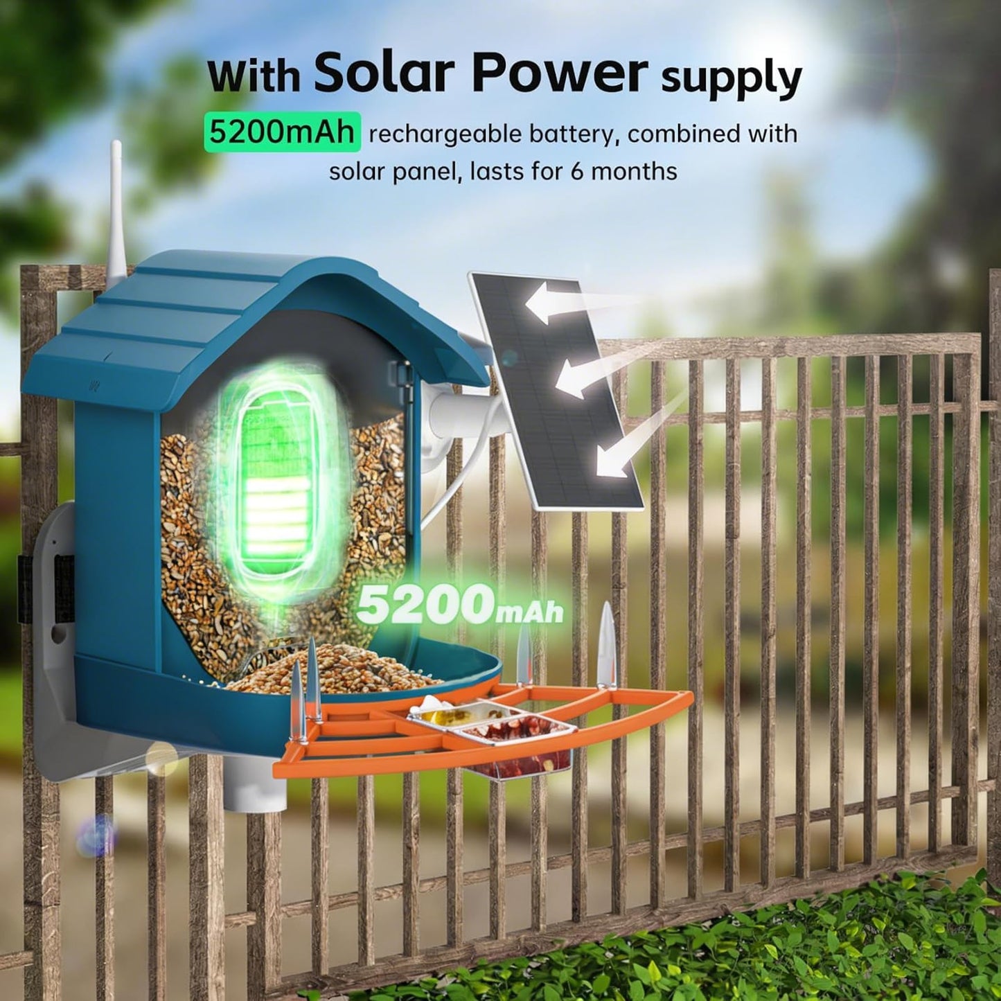 Bird Feeder with Camera, AI Bird Identification, Full HD Live Video, Solar Powered, 2.4Ghz WiFi, Instant Arrival Alerts - Best Gifts for Bird Lover