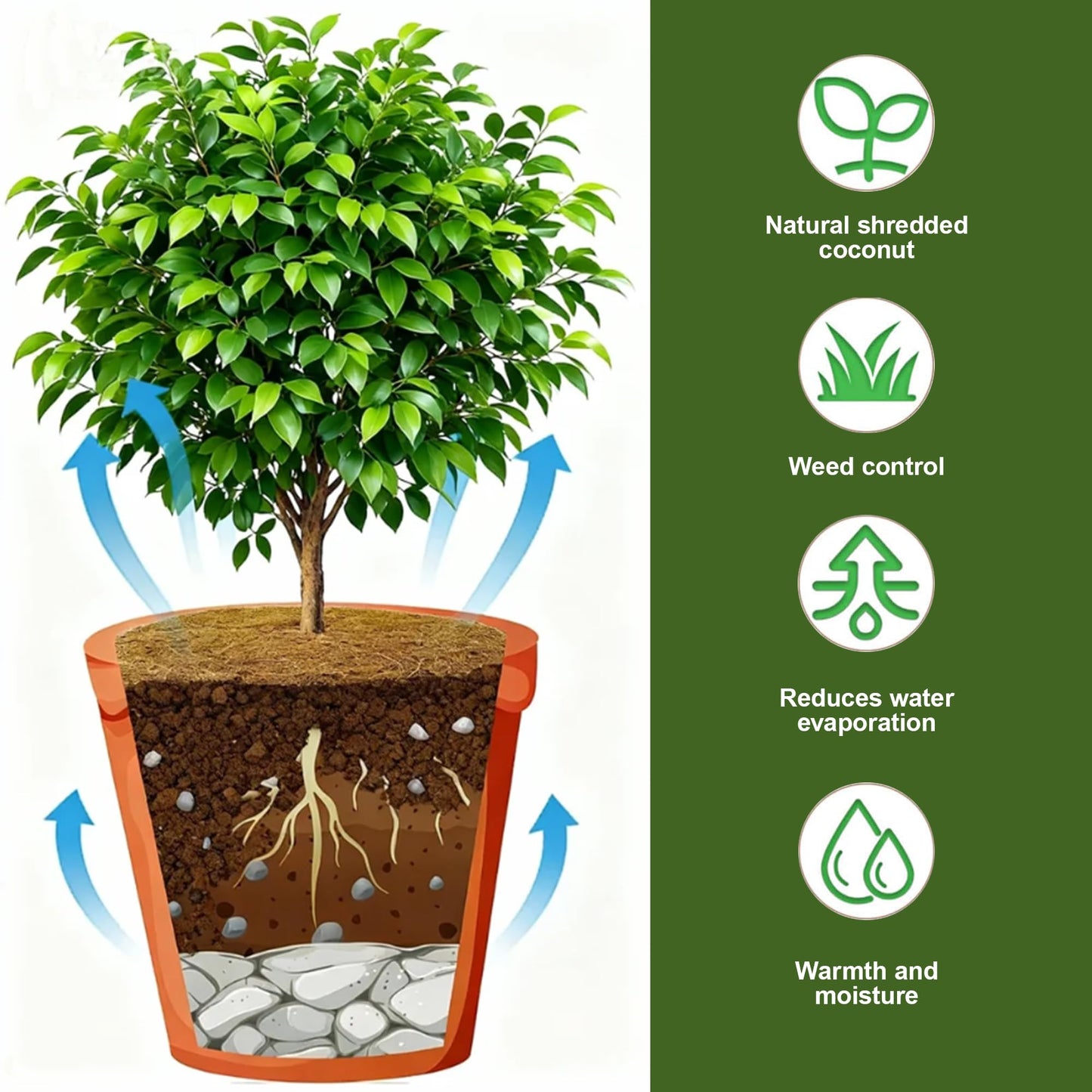 4 Pack 15.7 Inch Coconut Fiber Mulch Ring - Natural Coco Coir Tree Ring Protector Mats, Weed Barrier Plant Discs for Moisture Retention, Indoor Outdoor Trees and Landscaping