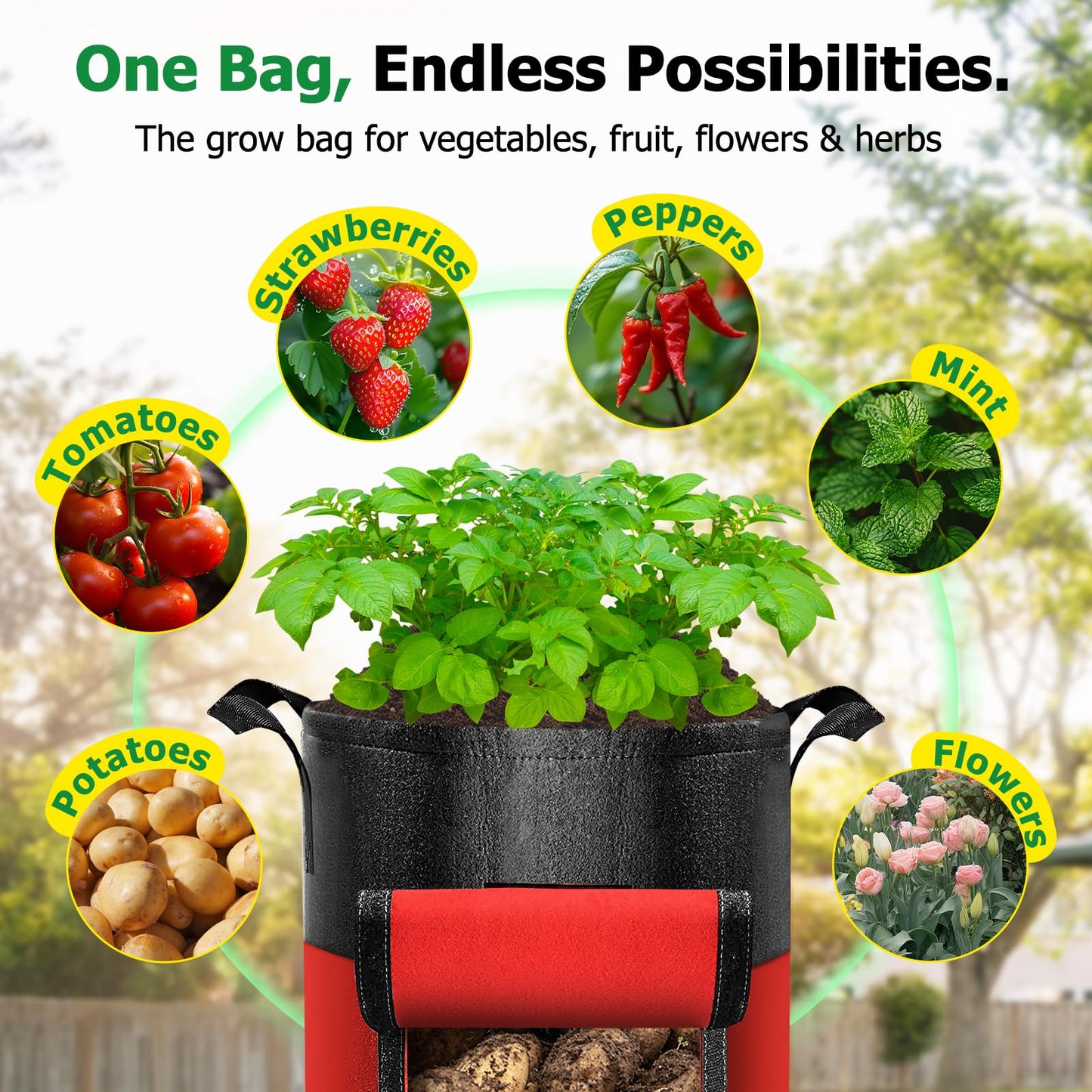 Xpatee 6 Pack Potato Grow Bags with Flap, 10 Gallon Grow Bags for Growing Potatoes, Colorful Durable Fabric Garden Planter Pots with Harvest Window for Tomatoes Vegetables Fruit Flowers Herbs