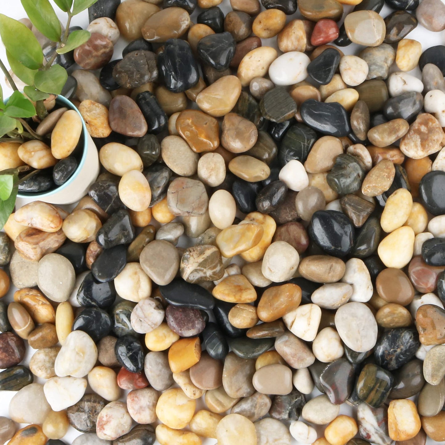 Anothera 18-lb Bulk Bag Pebbles for Plants 1-1.5 ” Aquarium Gravel River Rocks Garden Outdoor Decorative Stones