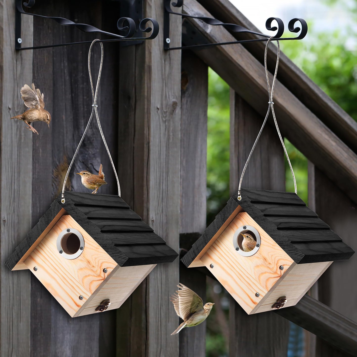 Dreyoo 4 Pack Wren House, 1-1/8'' Entrance Hole Hanging Wooden Wren Bird Houses for Outside with Metal Guard, Air Vents, Pine Wood for Chickadees(Black)