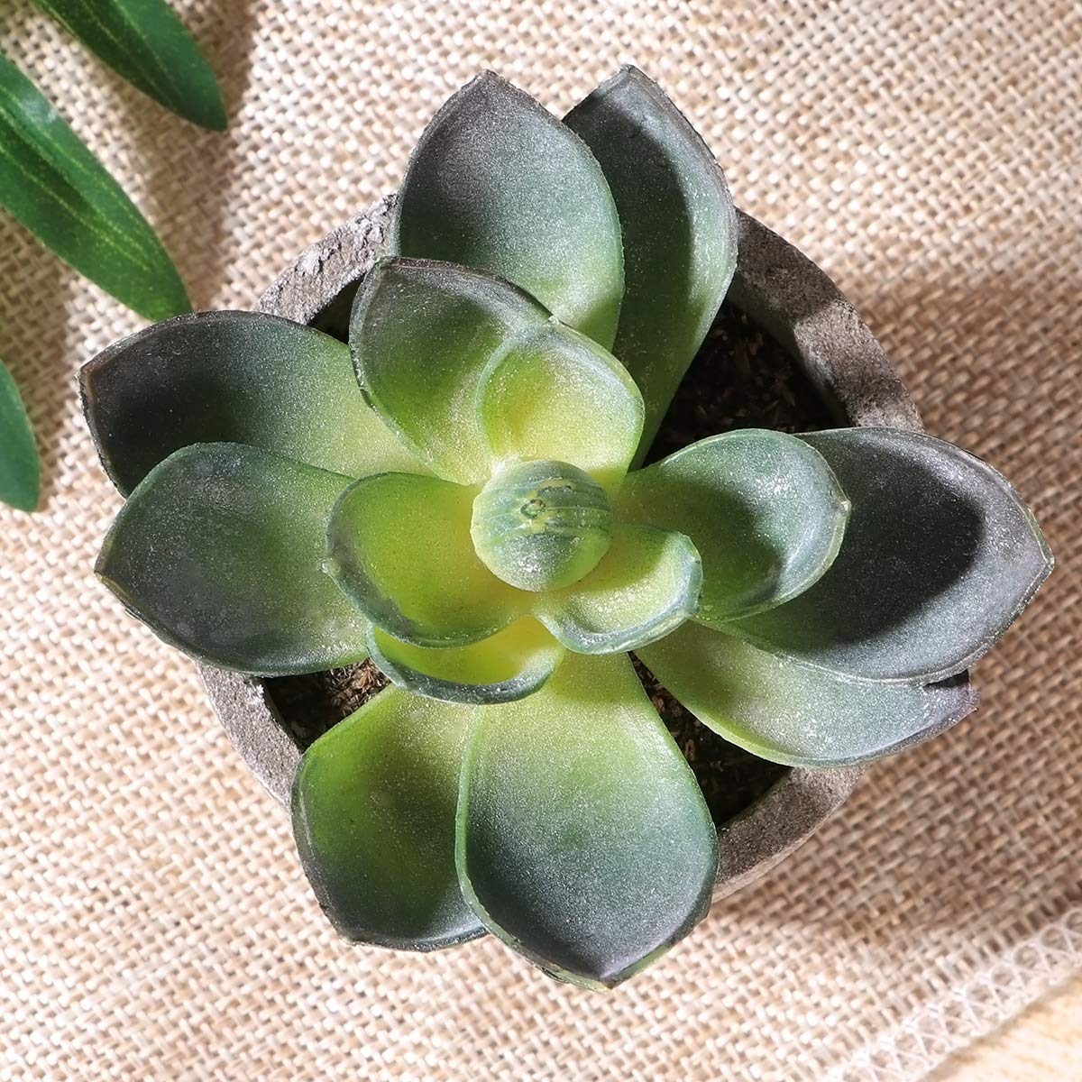 Cabilock Ounona 3pcs Artificial Succulent Plants Set with Pots - Realistic Faux Mini Succulents for Home, Office, and Aesthetic Decor - Perfect for Desk, Living Room, and Bathroom