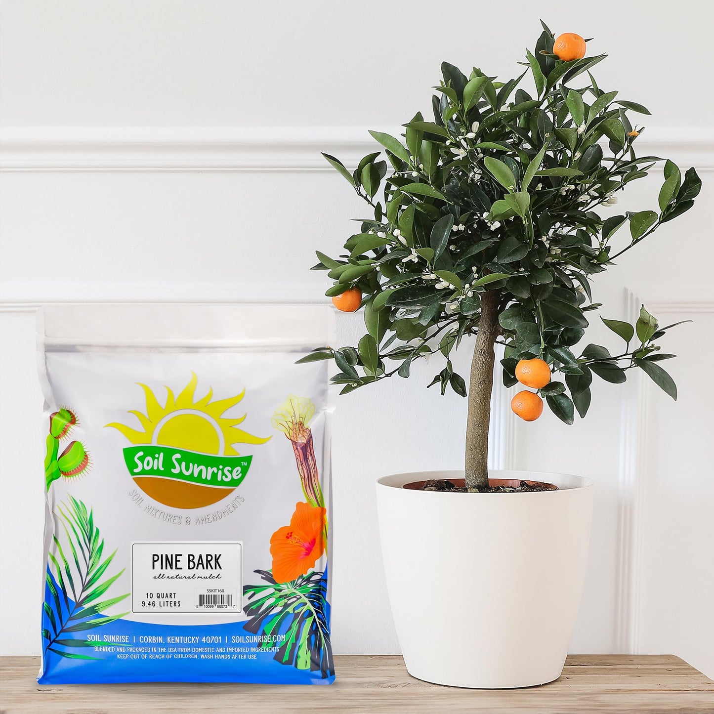 Soil Sunrise 100% Natural Pine Bark Mulch Nuggets (30 Quarts) Small Mulch Chips for Indoor/Outdoor Container Gardening, Ideal for Soil Supplement, Houseplant Mulch, and Terrariums