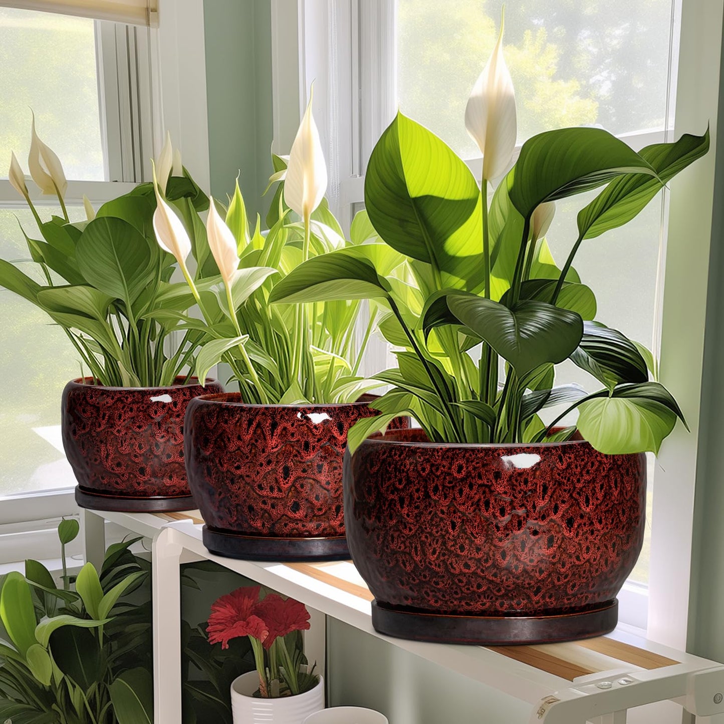 SQOWL Ceramic Pot for Plants - 6 Inch Plant Pot Indoor with Drainage Hole and Saucer, Decorative Flower Pot Outdoor, Round Succulent Planter, Front Porch Decor, House Warming Gifts New Home, Red
