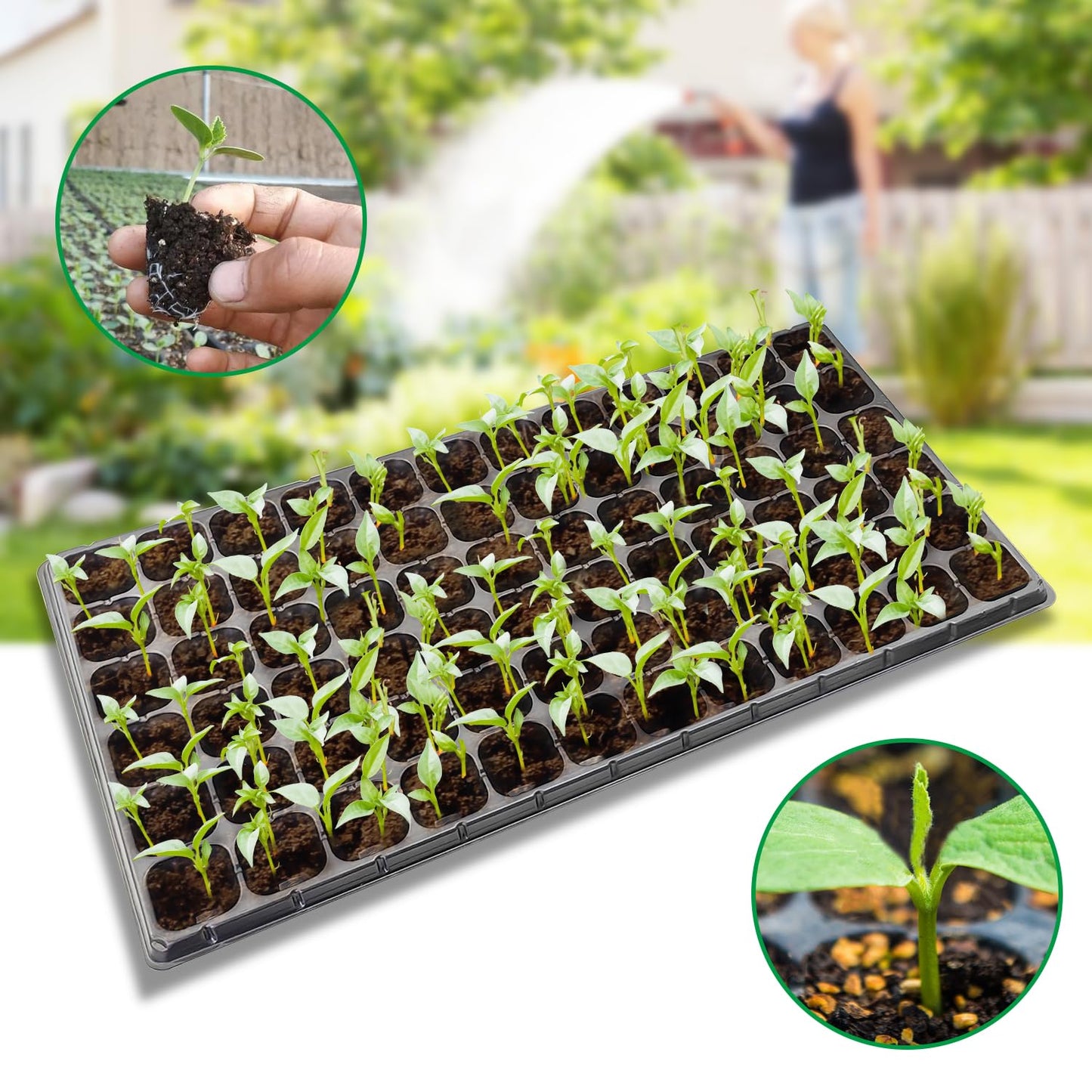 RooTrimmer 72 Cell Seed Trays, Thick Durable 72 Cell Plug Tray Seedling Plastic Nursery Tray for 1020 Flat Germination (10-Pack, 21"×11", 1.81" Height, Low)