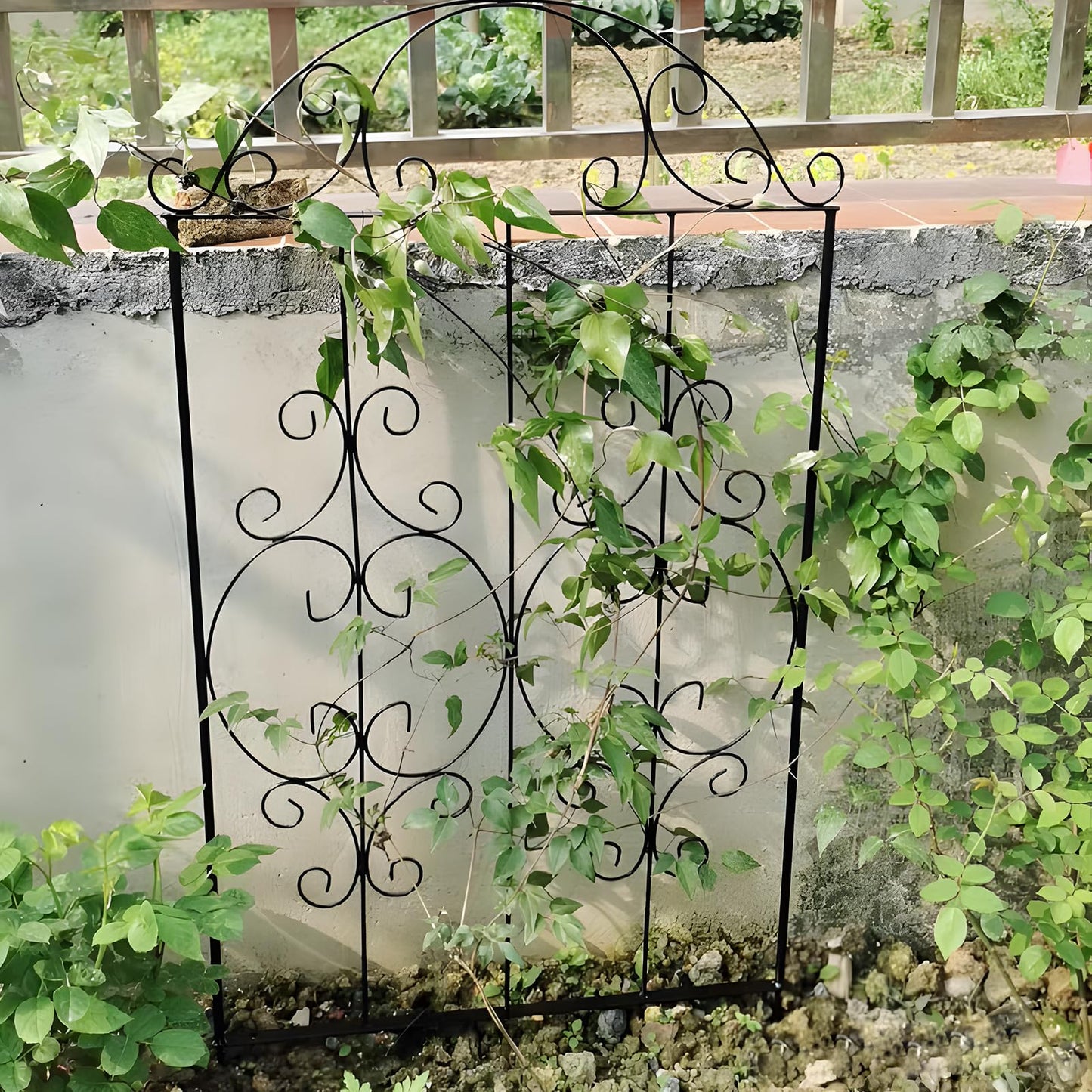 Thealyn Garden Trellis 2 Pack 80 Inch.H x 22 Inch.W Heavy-Duty Climbing Plant Trellis Metal Plant Supports Suitable Supporting Climbing Plants Outdoor, Roses, Vegetables, Vines, Flowers