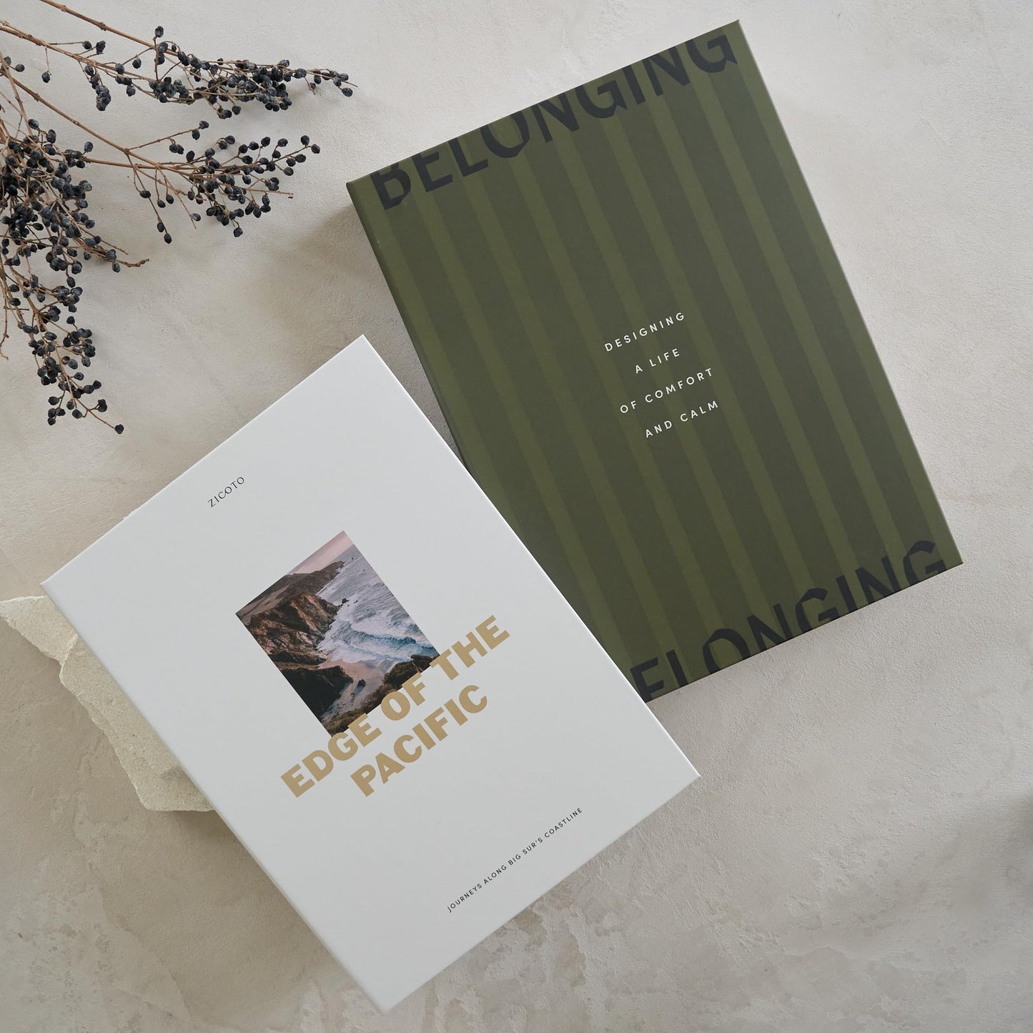 Beautiful Decorative Books - Set of 2 Boxes Enhance Your Coffee Table, Bookshelf or Mantel Shelf Decor - Aesthetic Fake/Faux Books for Modern Home Decoration, Photo Storage and as a Keepsake Box