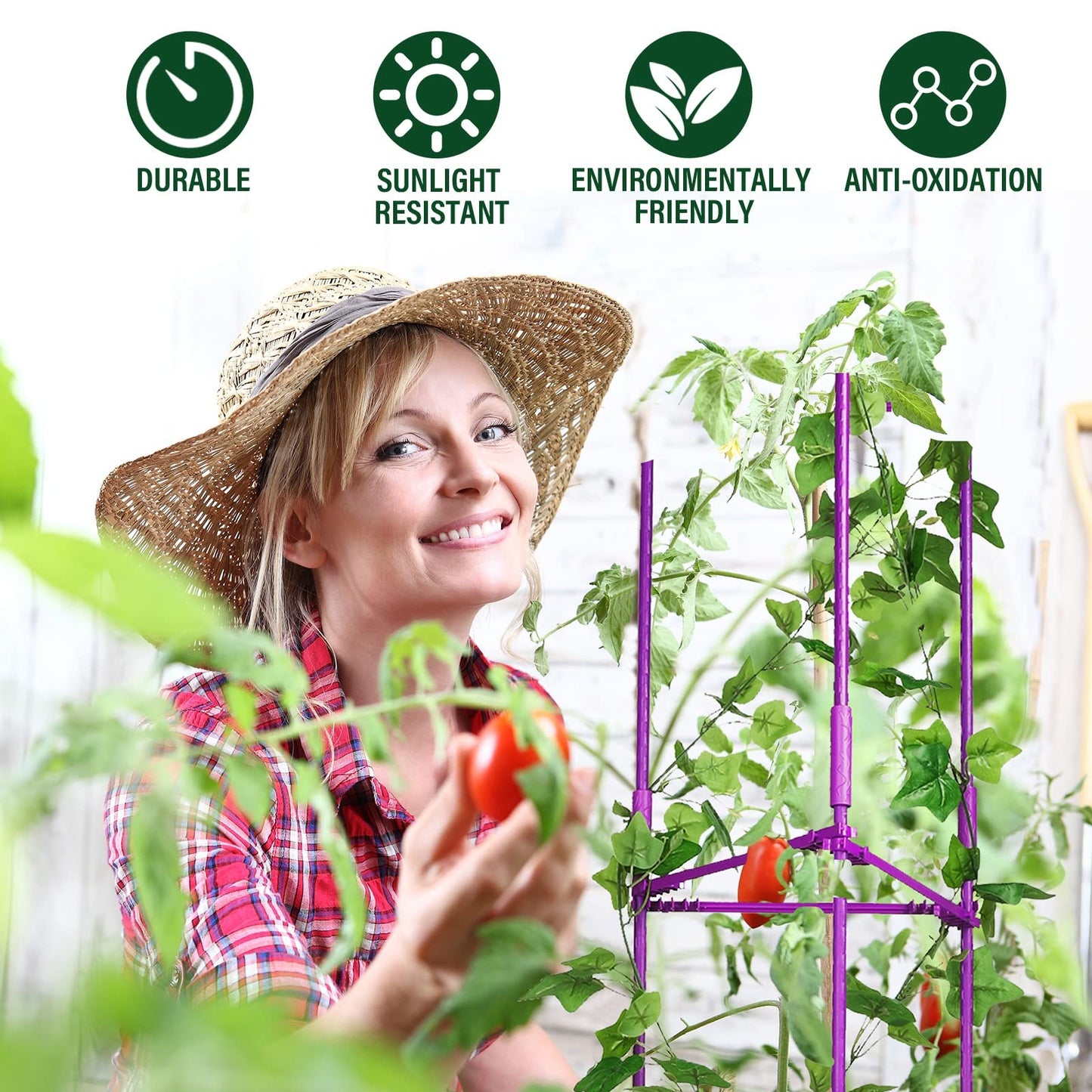 4 Packs Large Tomato Cages for Garden up to 6.5ft Heavy Duty Tomato Plant Trellis with 80 Clips Assembled Plant Support Cages with Adjustable Stake Arms for Vegetables, Climbing Plants (Purple)