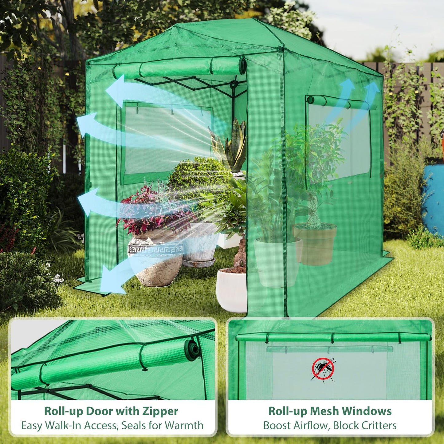 EAGLE PEAK 8x6 Portable Walk in Greenhouse, Pop Up Indoor Outdoor Greenhouse, Green House Kit with Zippered Roll-Up Doors and Windows, PE Cover, Clear/Green
