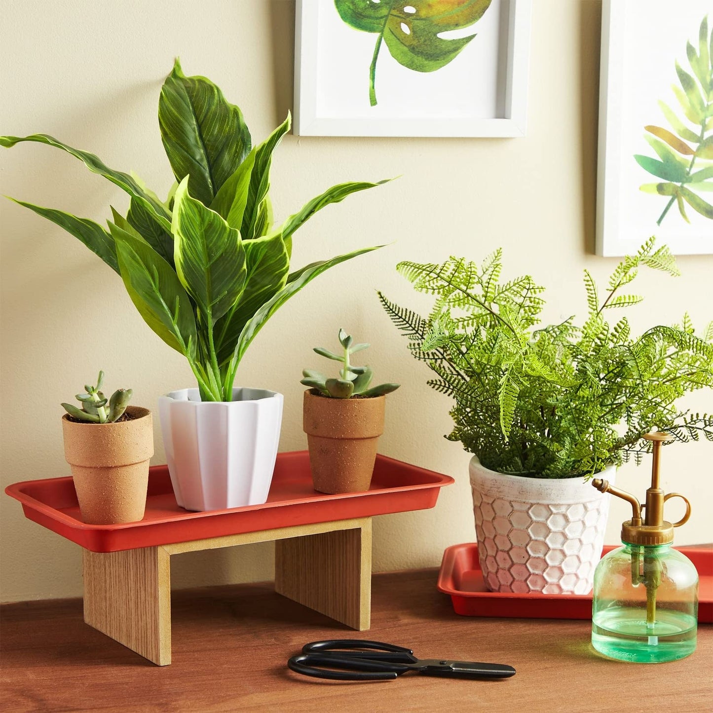 Juvale Rectangular Plastic Plant Tray - Plant Water Tray for Indoors & Outdoors - Built-in Drainage & Drip Catcher - Saucer for Seedlings & Small Pots - 8-Pack, Terracotta Red, 6.5 x 12 in
