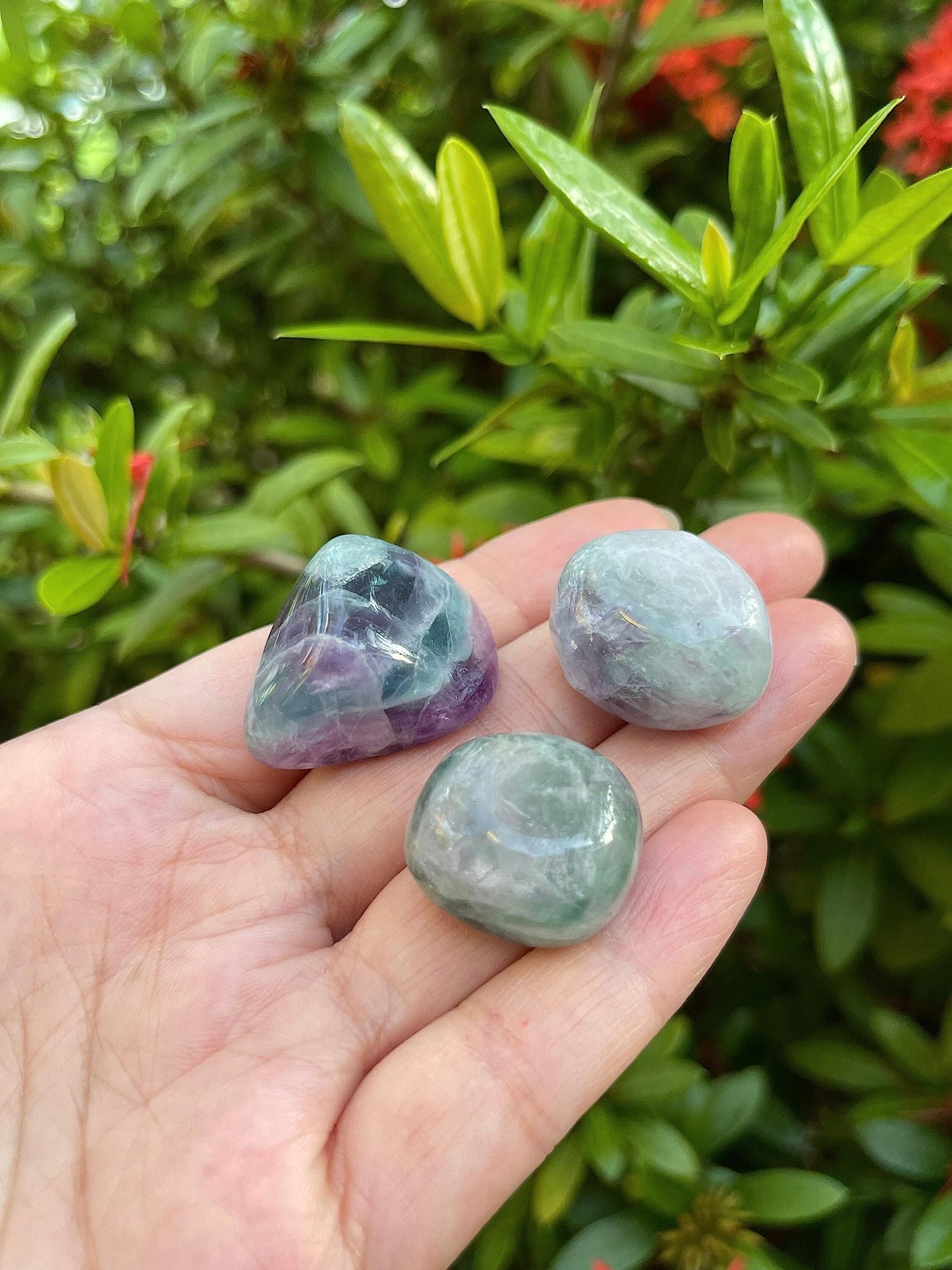 GAF TREASURES 5 Pcs Rainbow Fluorite Tumbled Stones, Polished Natural Rainbow Fluorite Gemstone, Rainbow Fluorite Healing Crystals (Rainbow Fluorite)