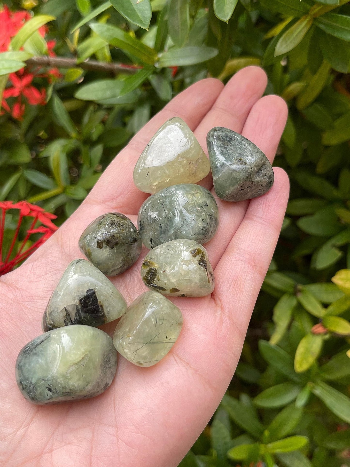 GAF TREASURES 5 Pcs Prehnite with Rutile Tumbled Stones, Polished Natural Prehnite with Rutile Gemstone, Prehnite with Rutile Healing Crystals (Prehnite with Rutile)