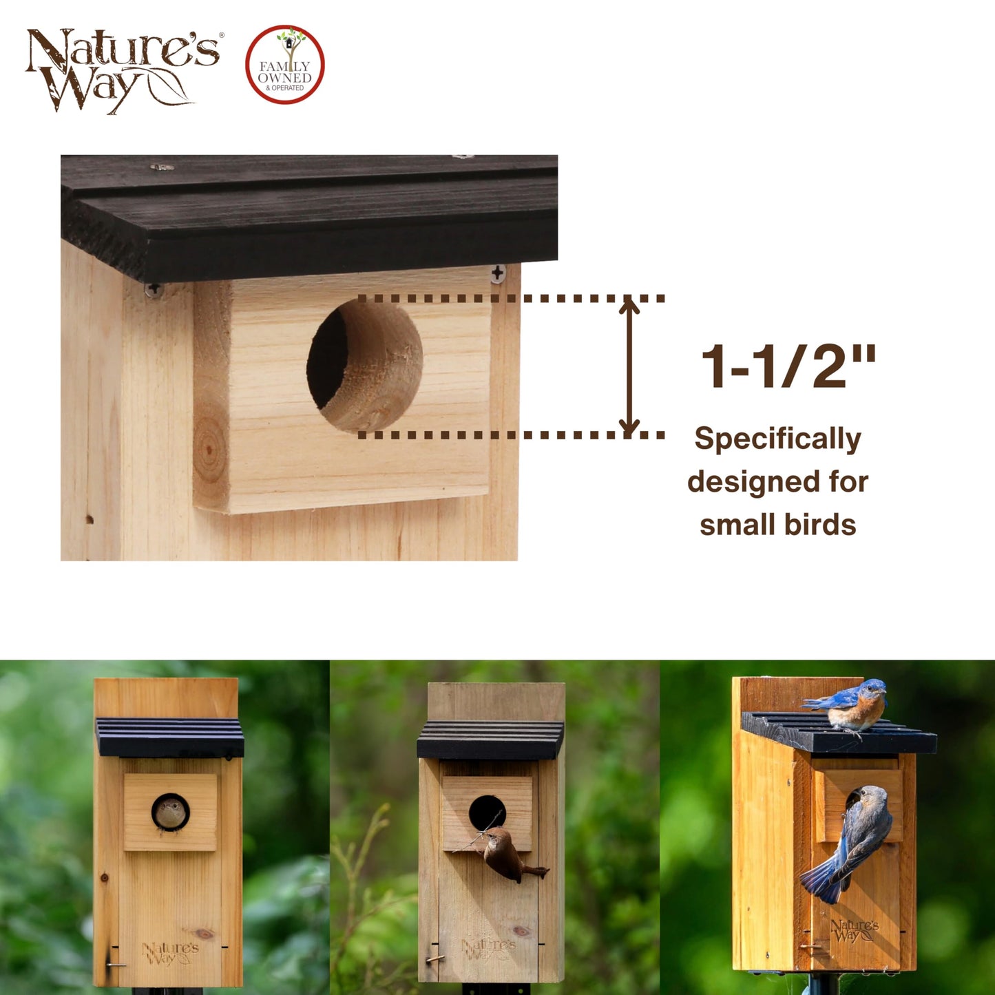 Nature’s Way Cedar Bluebird & Cavity Nesting House, Predator Guard, Ventilated Design & Easy Access Clean-Out Panel, Natural Wood