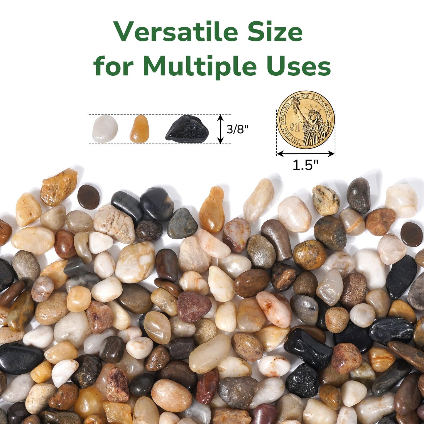 GreatBuddy 5-lb Pebbles for Indoor Plants, 3/8" Pea Gravel for Vases, Small Rocks for Succulents, Fish Tanks, Aquariums, Terrarium, Drainage Pebbles for Potted Plants, River Rocks for Landscaping