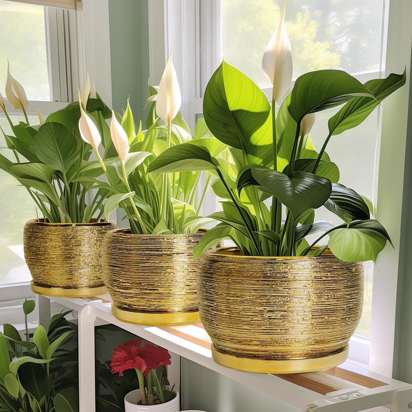 SQOWL Ceramic Planter - 6 Inch Plant Pot Indoor Outdoor, Modern Round Planter with Drainage Hole and Plant Saucer, Decorative Small Flower Pot, Home Decor, Birthday Gifts, Gold