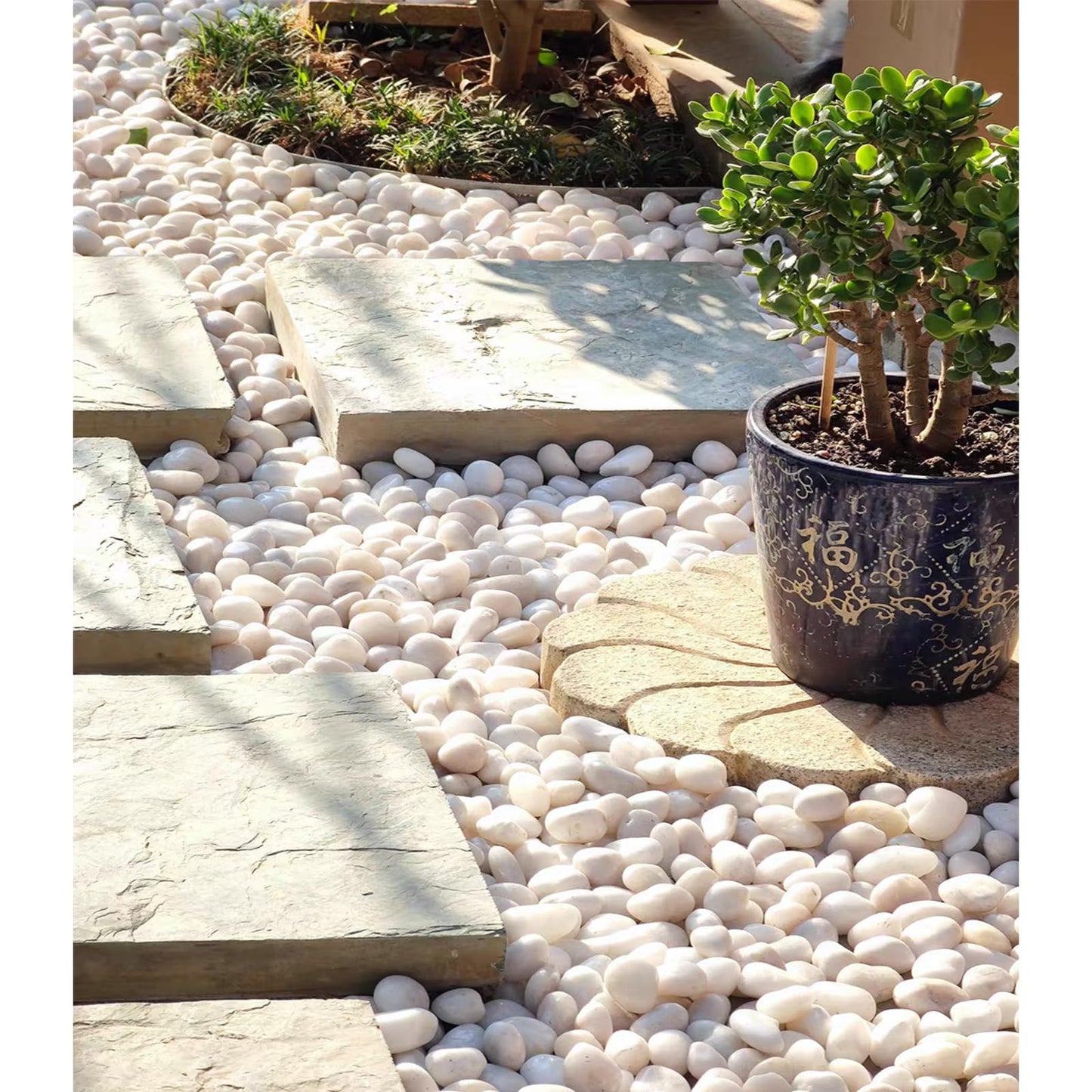 FANTIAN 5 lbs Large White River Rocks, 2-3 inch Pebbles for Indoor Plants, Polished Decorative Stones for Planters Vase Aquarium and Outdoor Garden Landscaping Rocks