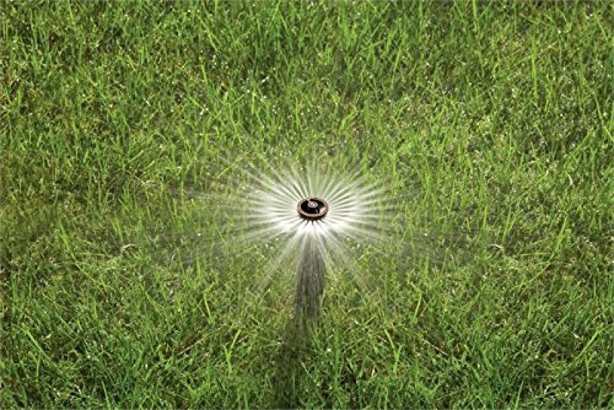 Rain Bird 1804VAN 1800 Series Professional 4 Inch Pop Up Sprinkler Head, 5 Pack - Lawn Sprinkler with Adjustable 0-360 Degree Arc Nozzle Pattern, Up to 15 Ft Spray Distance, 1/2 in NPT Threaded Inlet