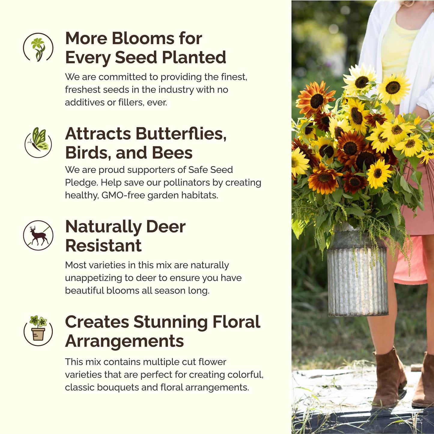 Eden Brothers Sunny Flower Mixed Seeds for Planting, 1 lb, 480,000+ Seeds with Ox-Eye, Maximilian, Dwarf Sunspot Sunflower | Attracts Pollinators, Plant in Spring, Zones 3, 4, 5, 6, 7, 8, 9, 10