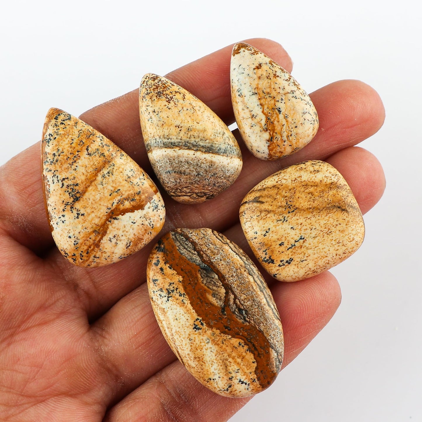 CRYSTALINES 5pcs, Natural Picture Jasper Gemstone, Bulk Cabochon Stone, Wholesale Polished Loose Supply, DIY Craft-Jewelry Making, Chakra Healing Crystal, Wire Wrapping, Gem Collection