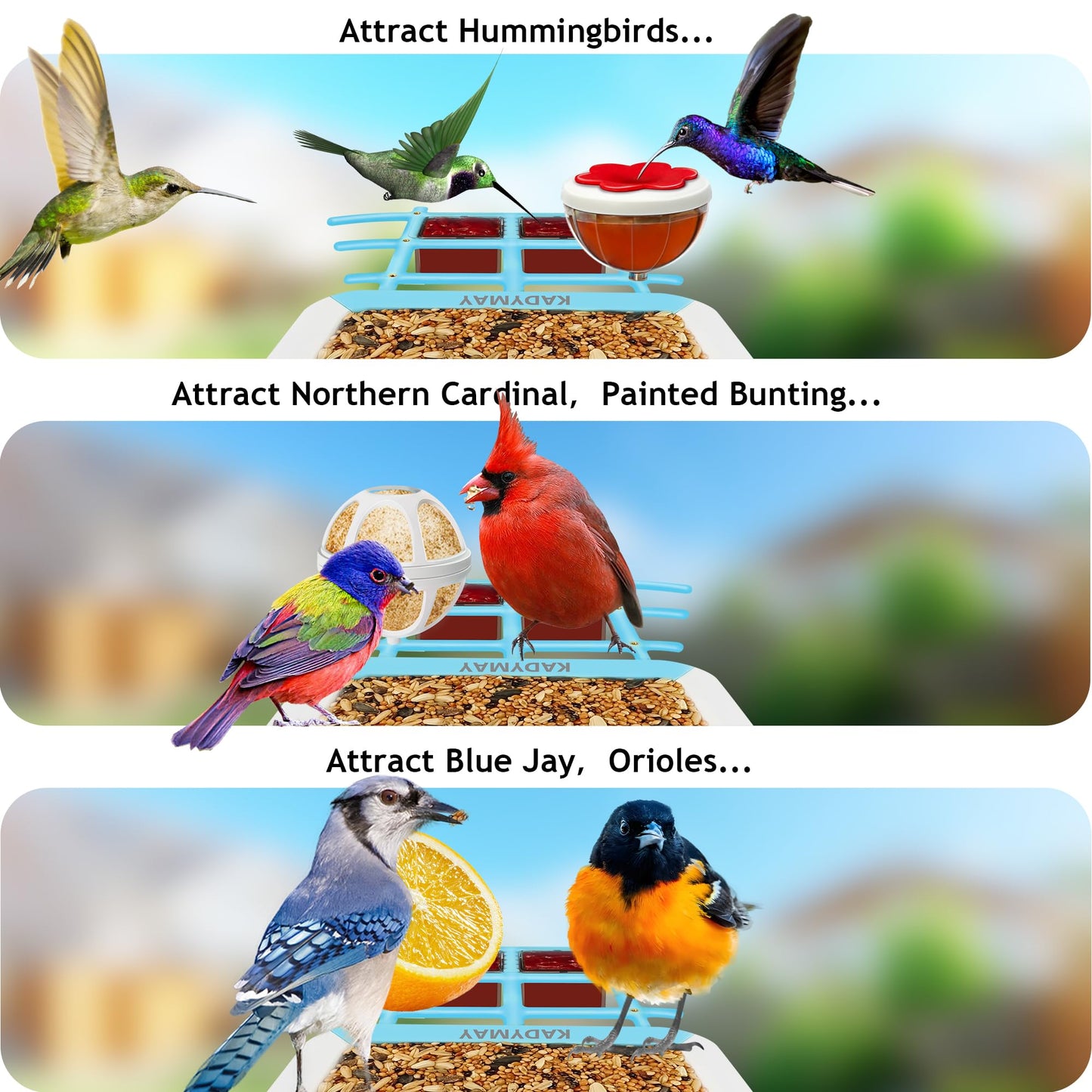 64GB Smart Bird Feeder with Camera Solar Powered, AI Identify 10K+ Bird Aves, 2K 3MP HD Live Video &Playback on Phone, 2.4G WiFi Birdhouse Camera Wireless Outdoor-Watching House (Light Blue)