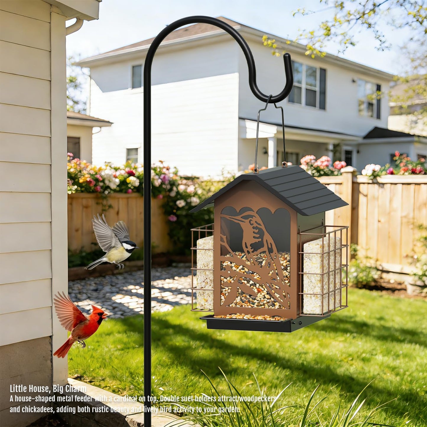Birdream Bird Feeders for Outdoors, 5 Lbs Metal Bird Feeder with Double Suet Cages, 2 in 1 Mixed Seeds Suet Feeder, Large Capacity & Weatherproof Metal Roof, Attract Cardinals Wildbird Woodpecker