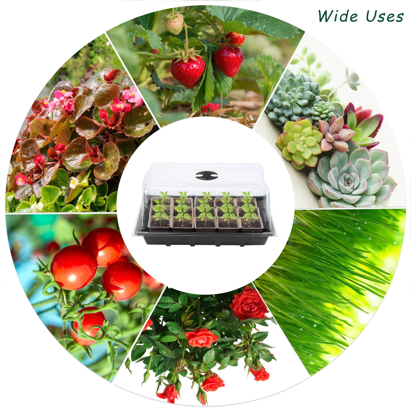 Hahood 4 Pack Seed Starter Tray Kit, 120 Square Seed Peat Pots for Seedlings with Plants Labels, Planting Tools, Plastic Growing Germination Trays with Lids for Indoor Outdoor Gardening, Black