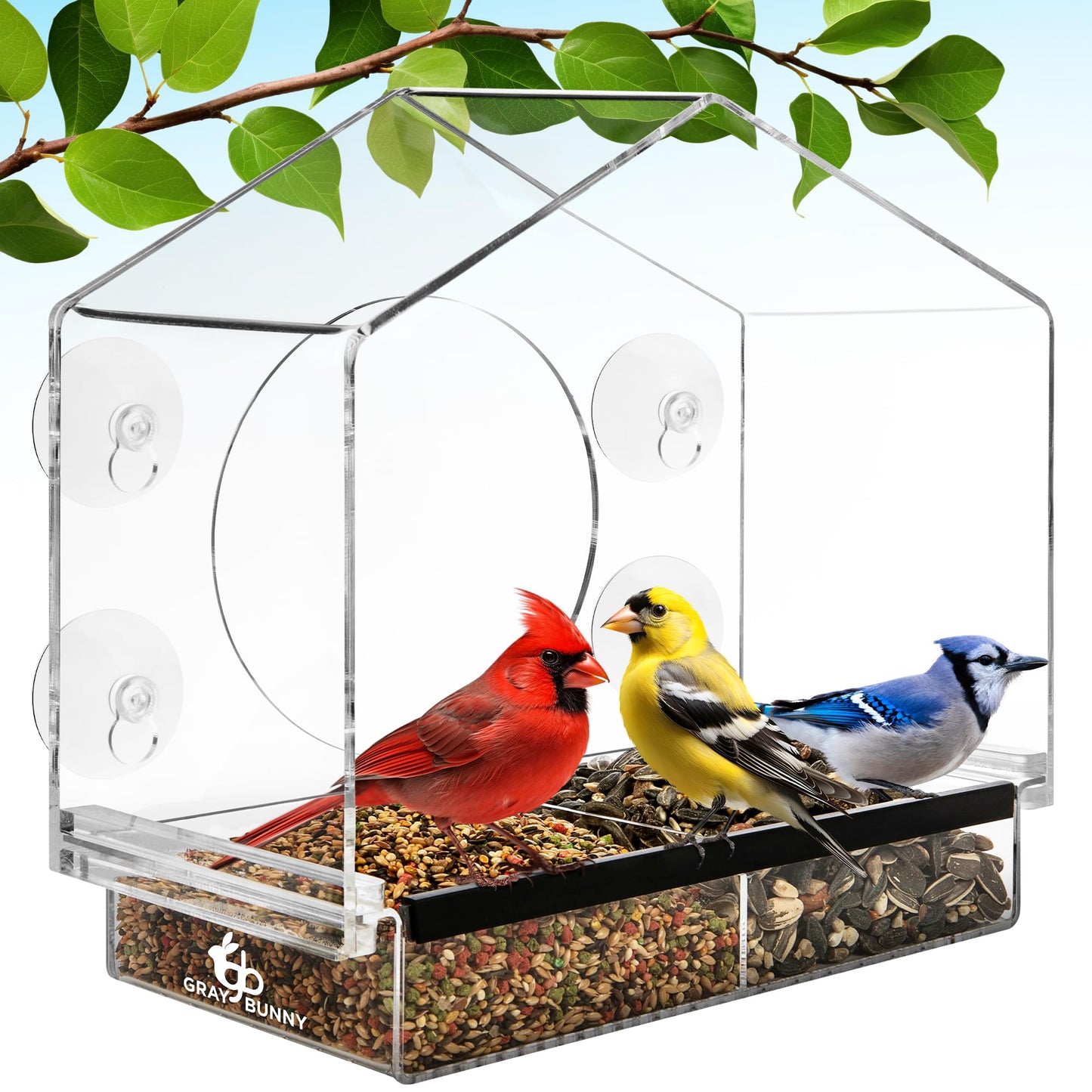 Window Bird Feeder with Strong Suction Cups - Gifts for Grandma Bird Watching Gifts for Grandpa Backyard Birding (Large House)