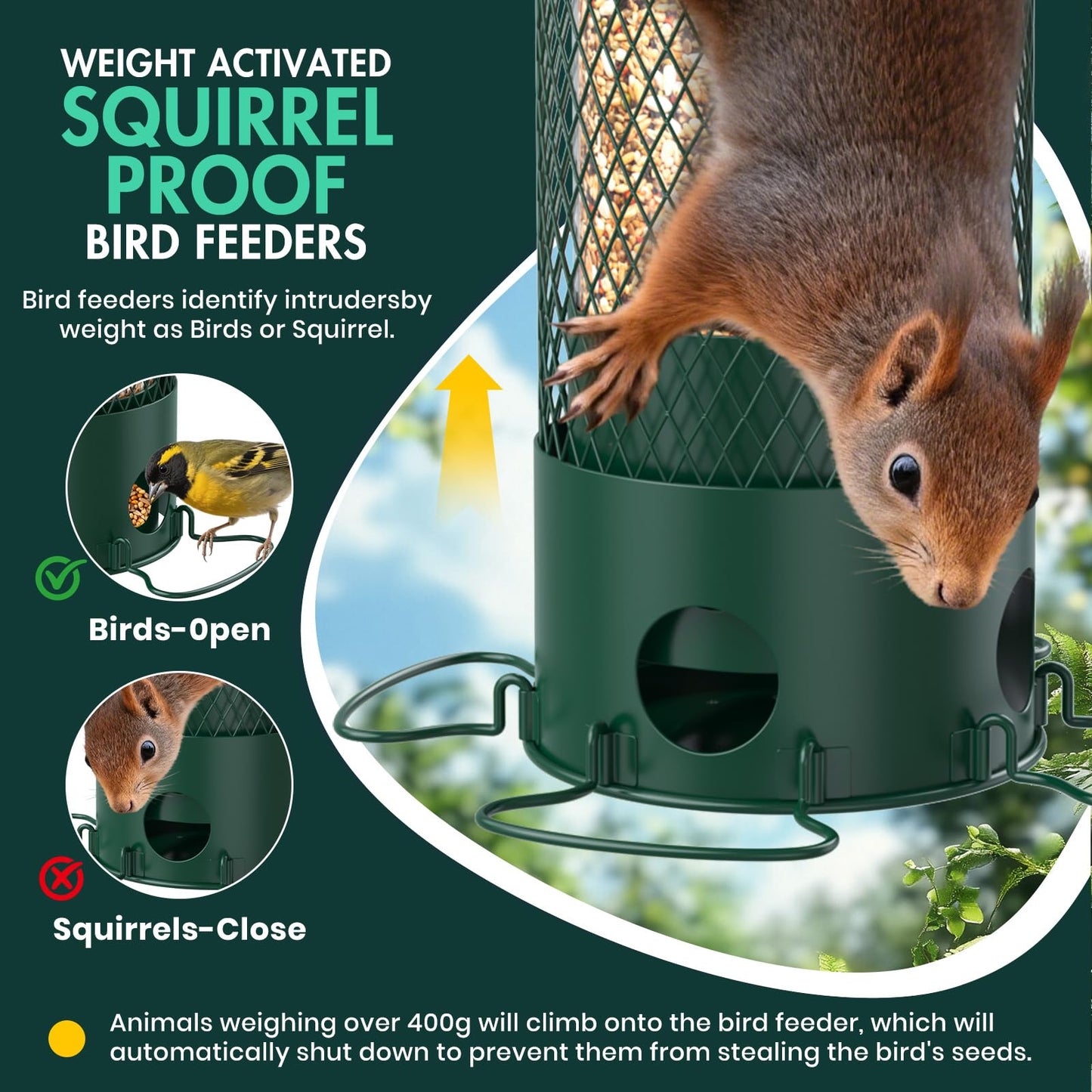 Olaiti Metal Squirrel Proof Bird Feeders for Outdoors Hanging,Weight-Activated Large Capacity Feeder for Wild Finch, Cardinal,Blue Jay, Chickadee, Weatherproof and Durable 4 Perches,Green