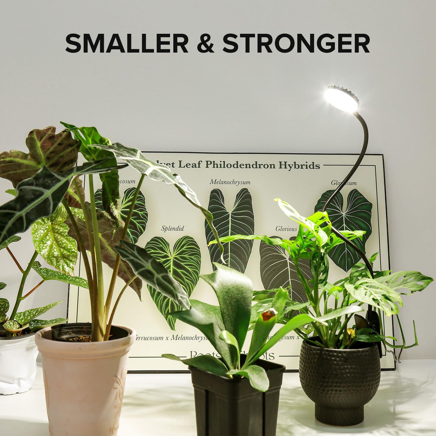 SGLEDs Plant Grow Lights, Clip on Grow Light for Indoor Plants, Full Spectrum LED Plant Lights for Indoor Growing with Timer，4-Level Dimmable for Growth Small Grow Lamps 2 Pack