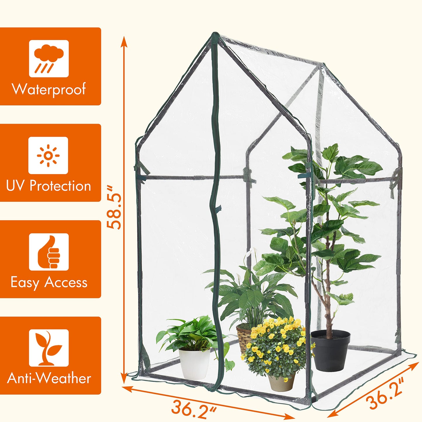 Gardzen Mini Greenhouse Heavy Duty Portable Green House, Clear Tent Small Greenhouse for Indoor Outdoor Plants 36.2”(L) x36.2”(W) x59.5”(H)