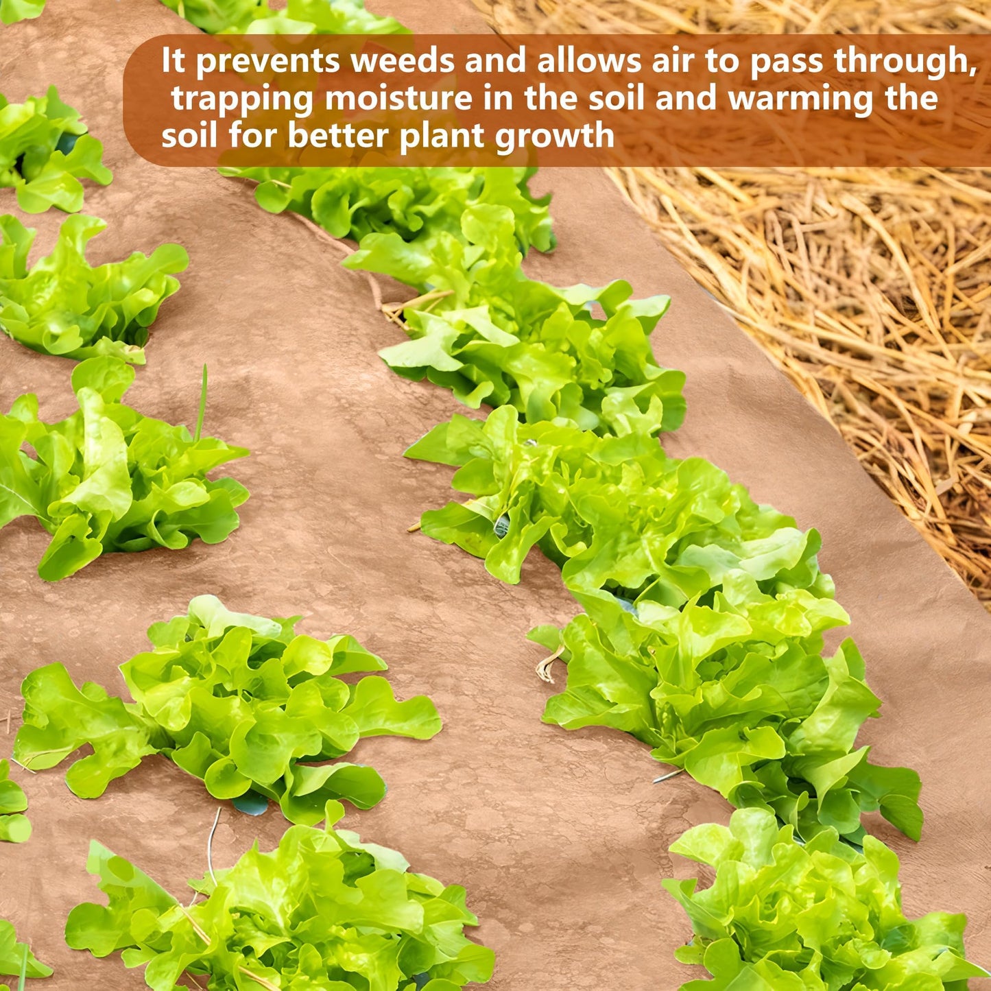 DECOHS 3 x 100 Ft Biodegradable Paper Weed Barrier- Heavy Duty Biodegradable Garden Bed Grass- Garden Paper Weed Control Barrier Weed Grass Blocker for Outdoor Garden Lawn