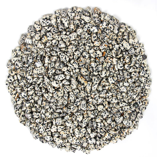 1.1lb Natural Crushed Dalmatian Jasper Crystal Tumbled Chips-Healing Crystals Chips Bulk, Crushed Crystal Gemstones for Crafts, Beautiful Package for Gift (Dalmatian Jasper)